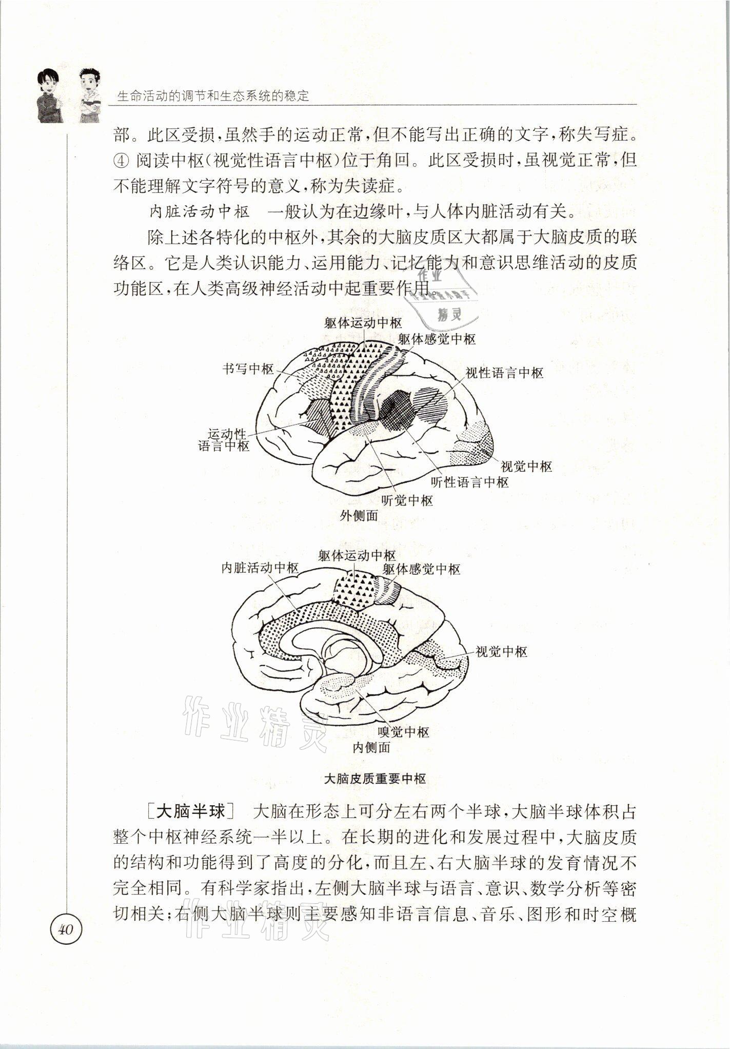 2021年教材課本八年級生物上冊蘇科版 參考答案第40頁