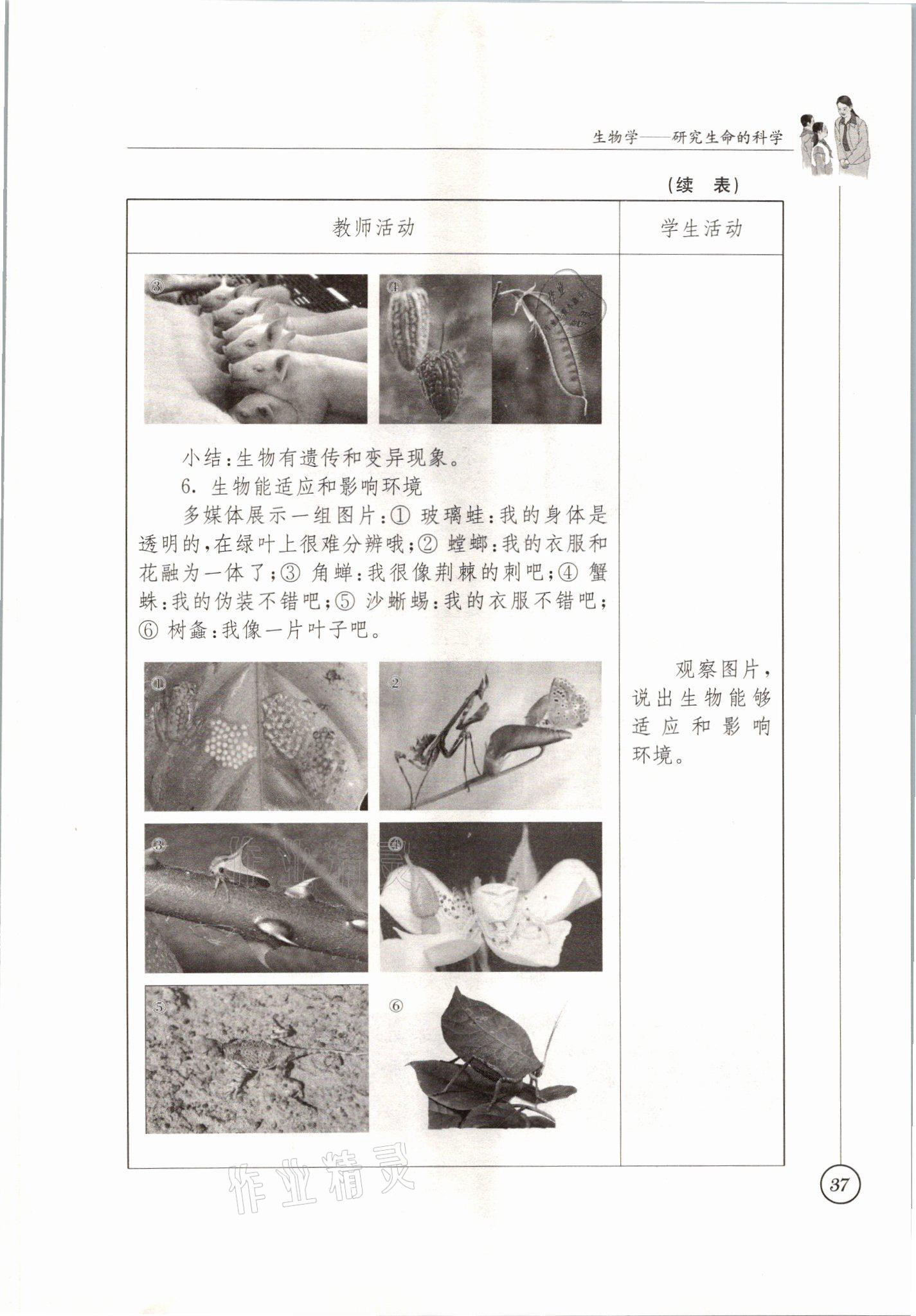 2021年教材課本七年級生物上冊蘇科版 參考答案第37頁