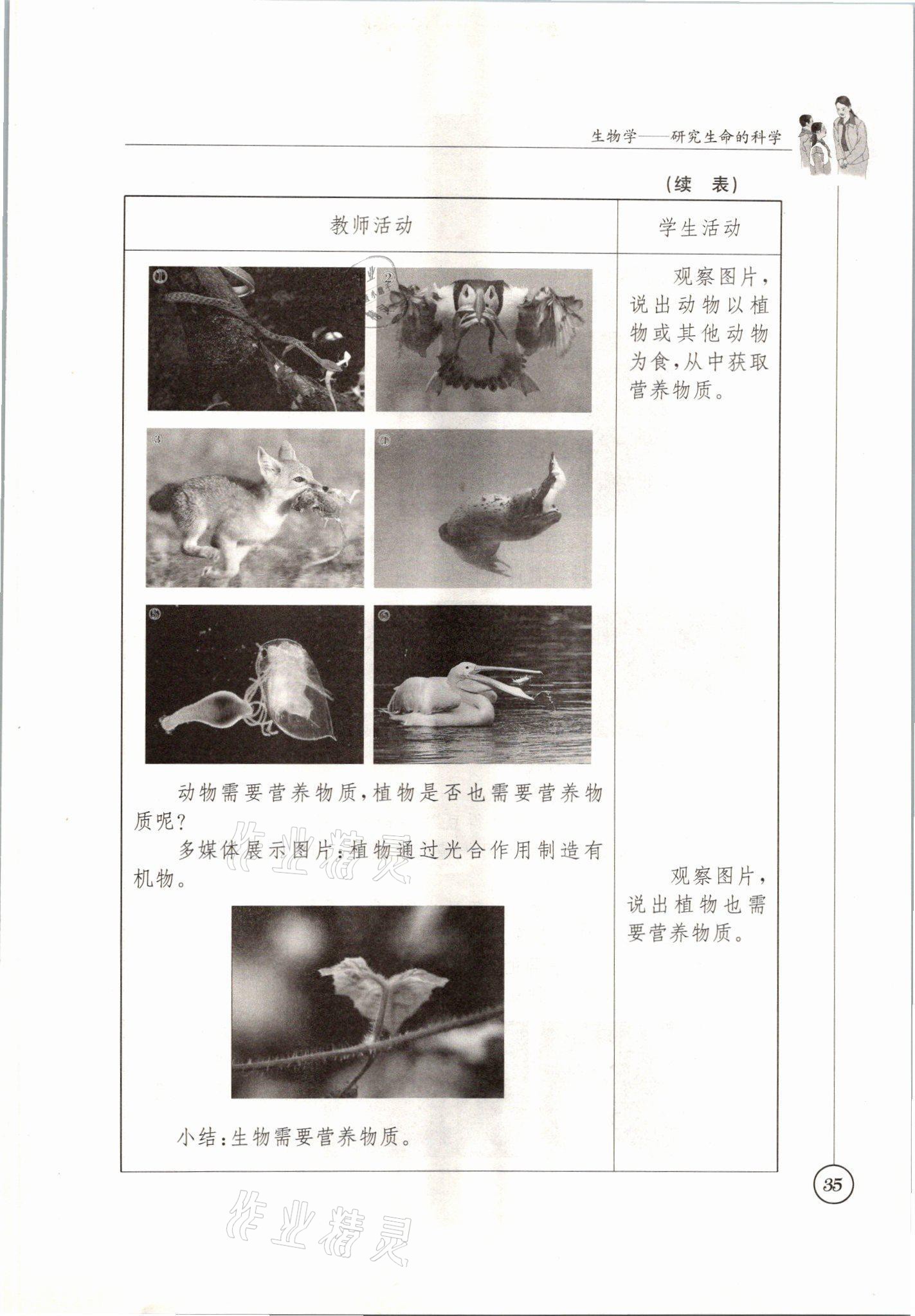 2021年教材課本七年級生物上冊蘇科版 參考答案第35頁