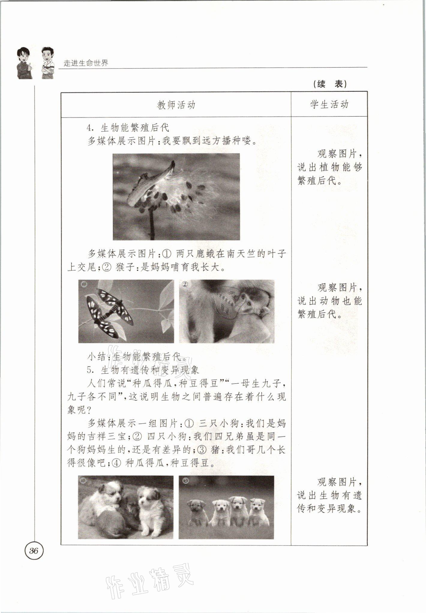 2021年教材課本七年級生物上冊蘇科版 參考答案第36頁