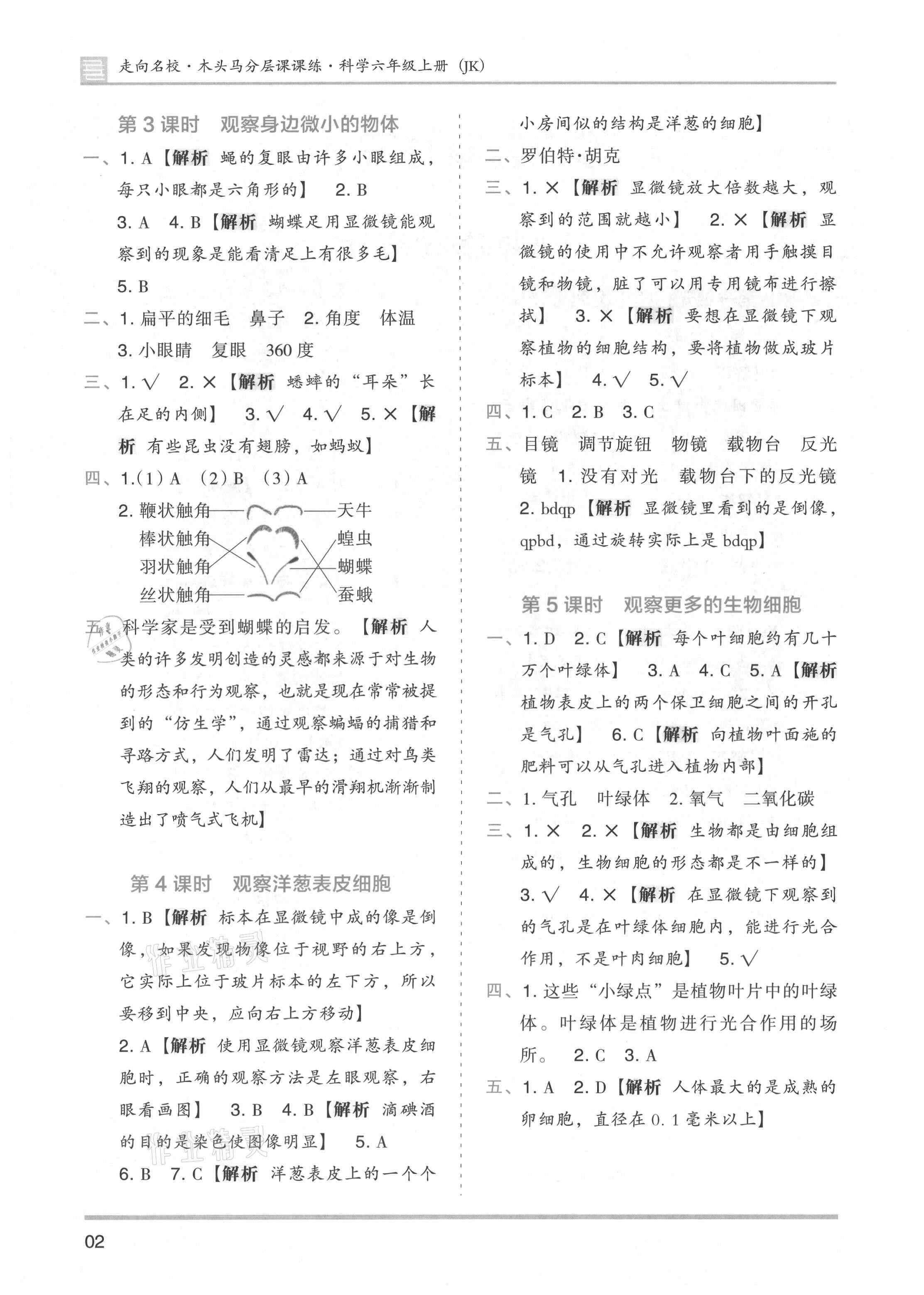 2021年木頭馬分層課課練六年級科學(xué)上冊教科版 第2頁