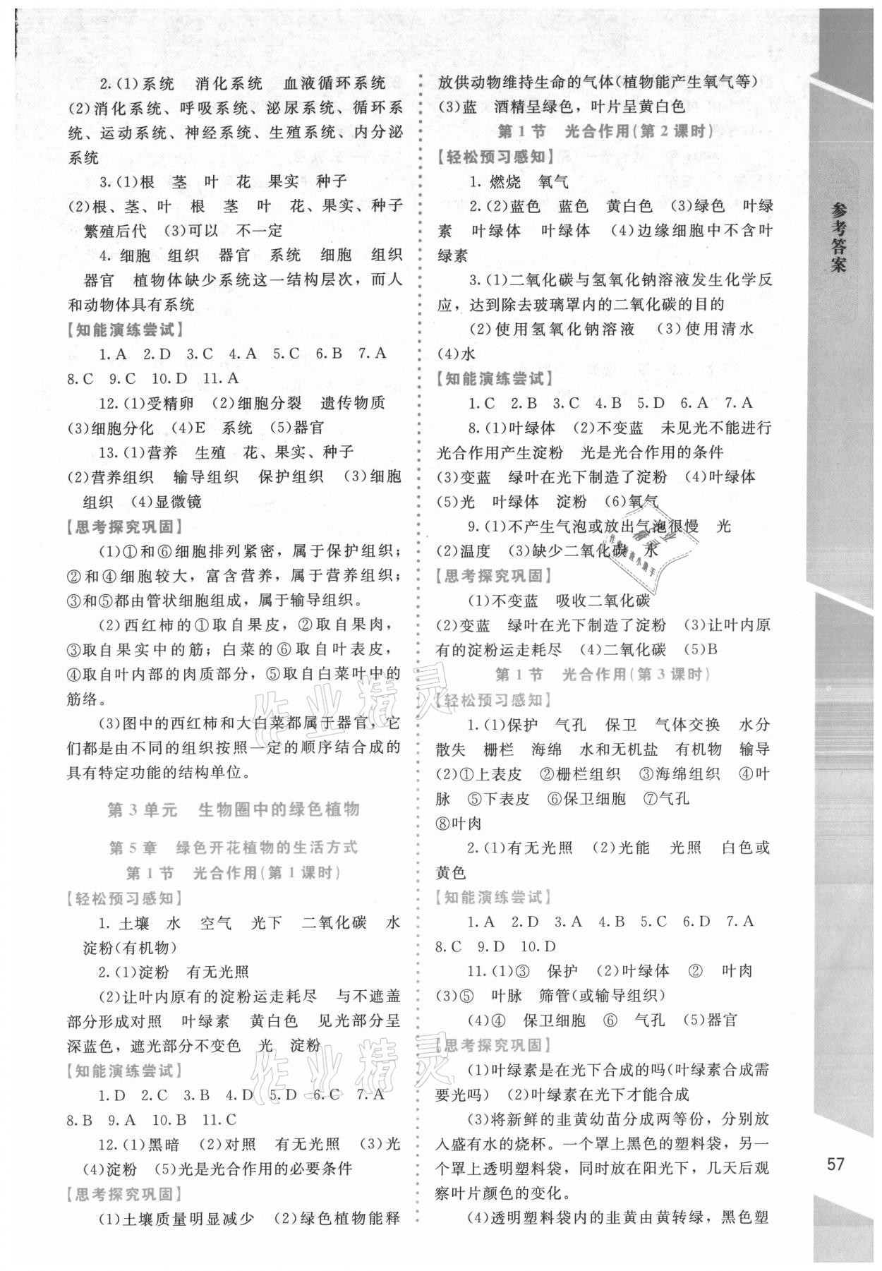 2021年課內(nèi)課外直通車七年級生物上冊北師大版福建專版 第3頁