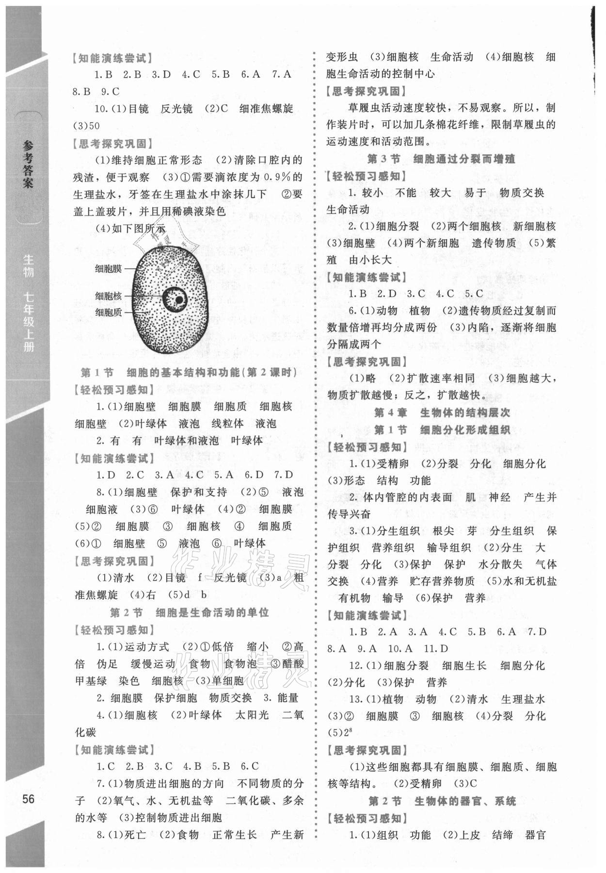 2021年課內(nèi)課外直通車七年級生物上冊北師大版福建專版 第2頁