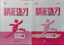 2021年精彩练习就练这一本九年级英语全一册人教版浙江专版