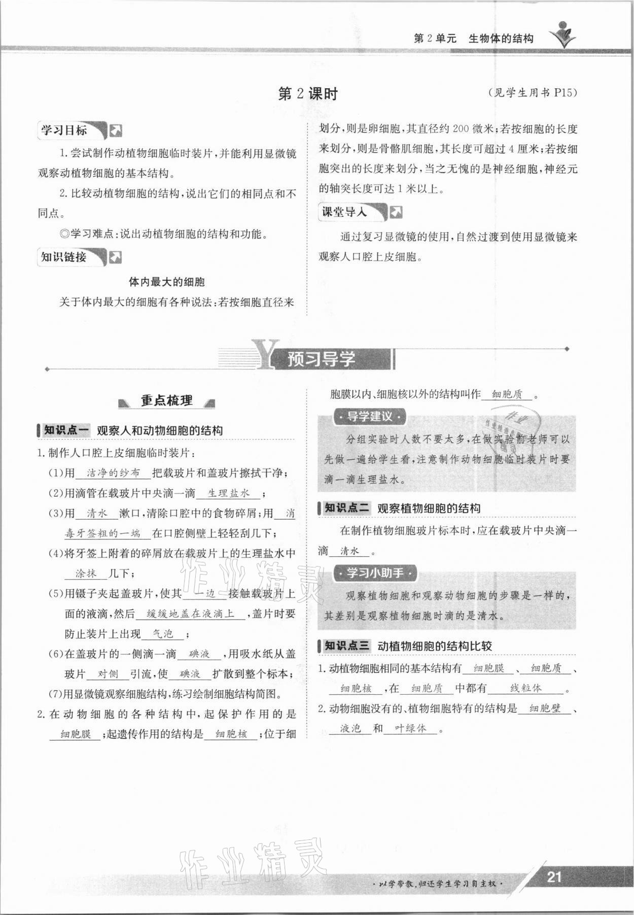 2021年三段六步導學案七年級生物上冊北師大版 參考答案第21頁