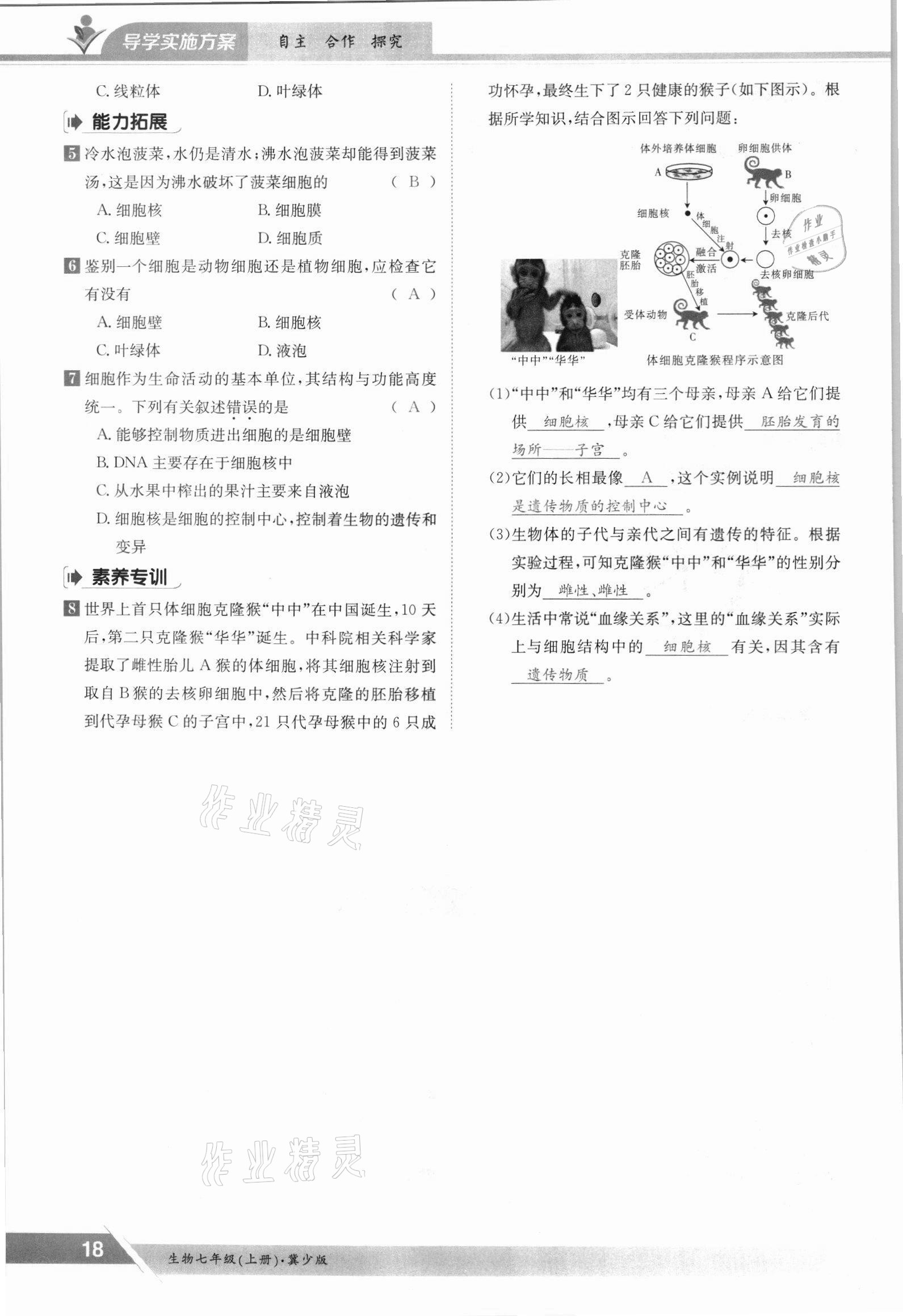 2021年三段六步導(dǎo)學(xué)案七年級生物上冊冀少版 參考答案第18頁