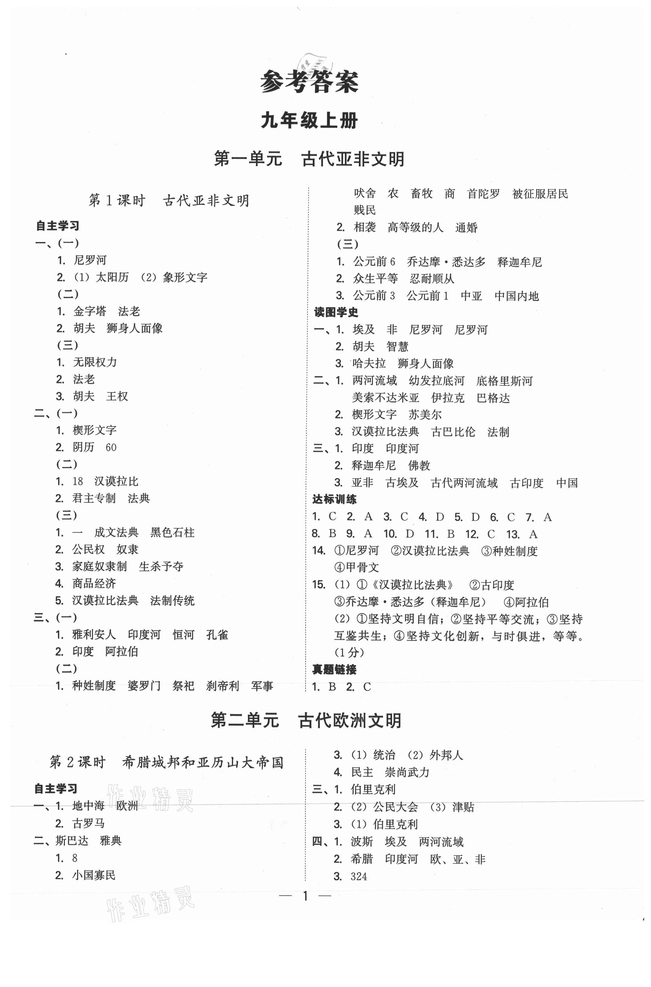 2021年考點專練九年級歷史全一冊人教版深圳專版 第1頁