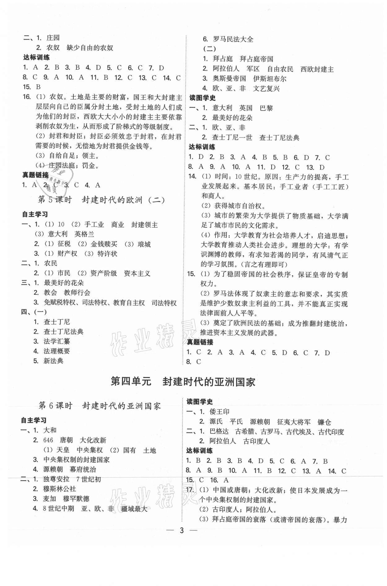 2021年考點專練九年級歷史全一冊人教版深圳專版 第3頁