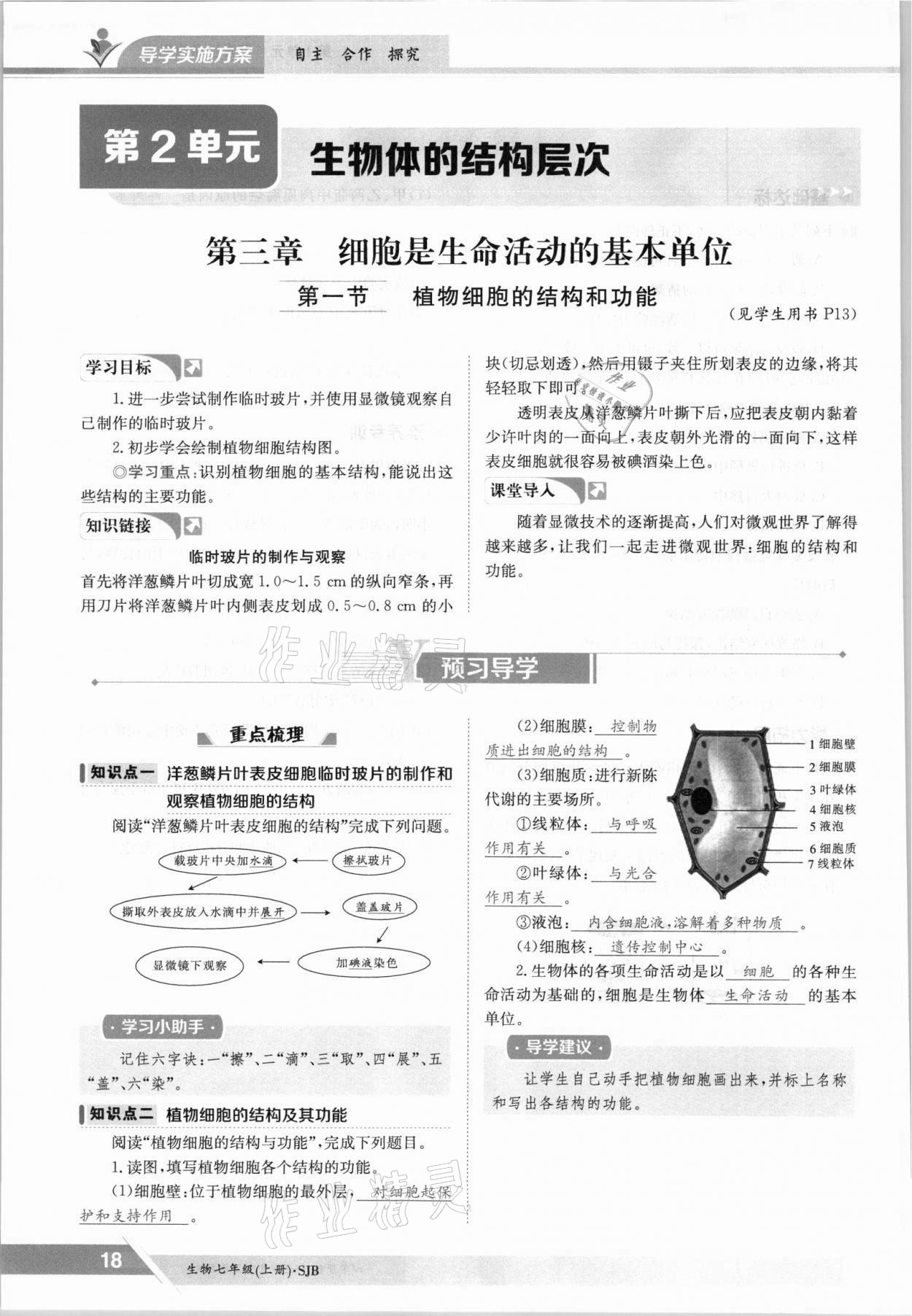 2021年三段六步導(dǎo)學(xué)測評七年級生物上冊蘇教版 參考答案第18頁