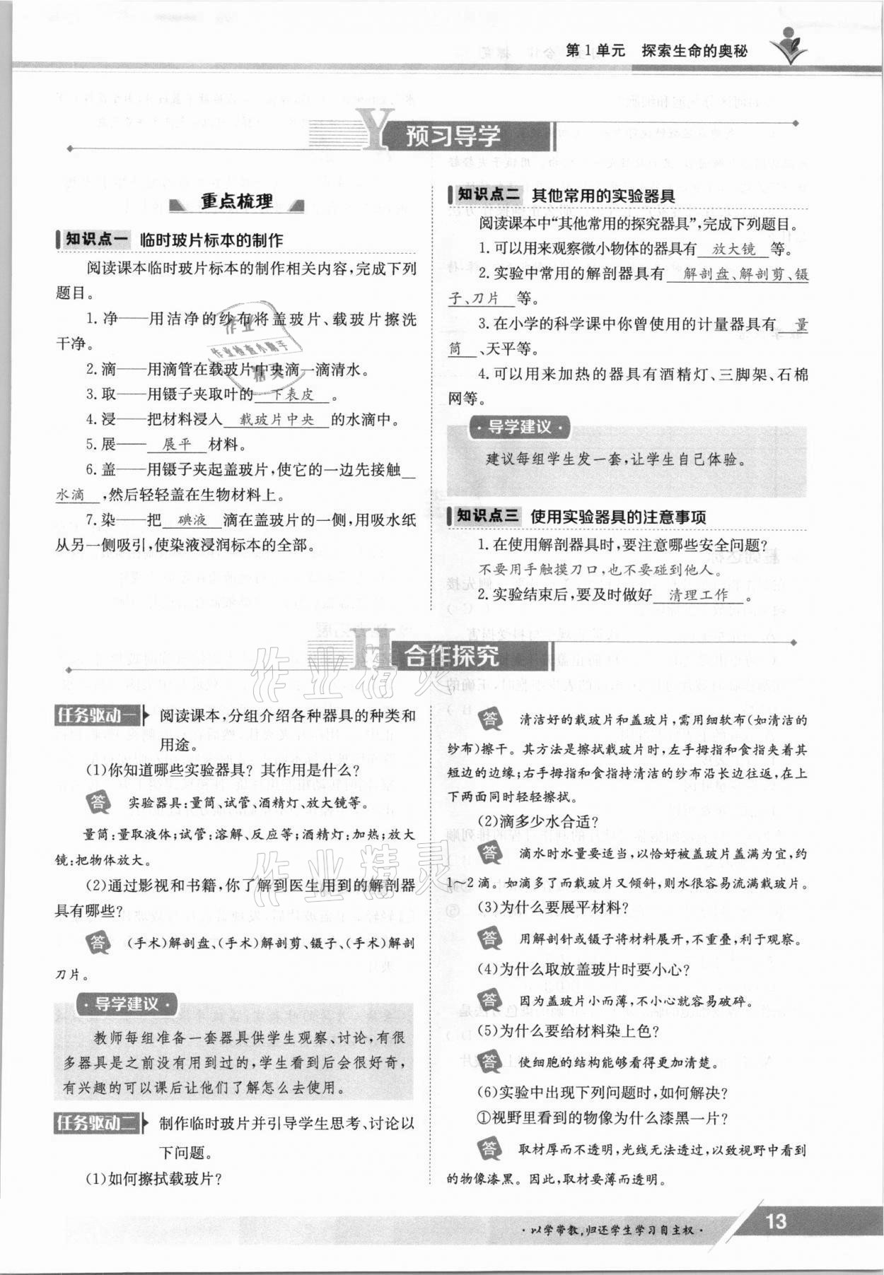 2021年三段六步導學案七年級生物上冊蘇教版 參考答案第13頁