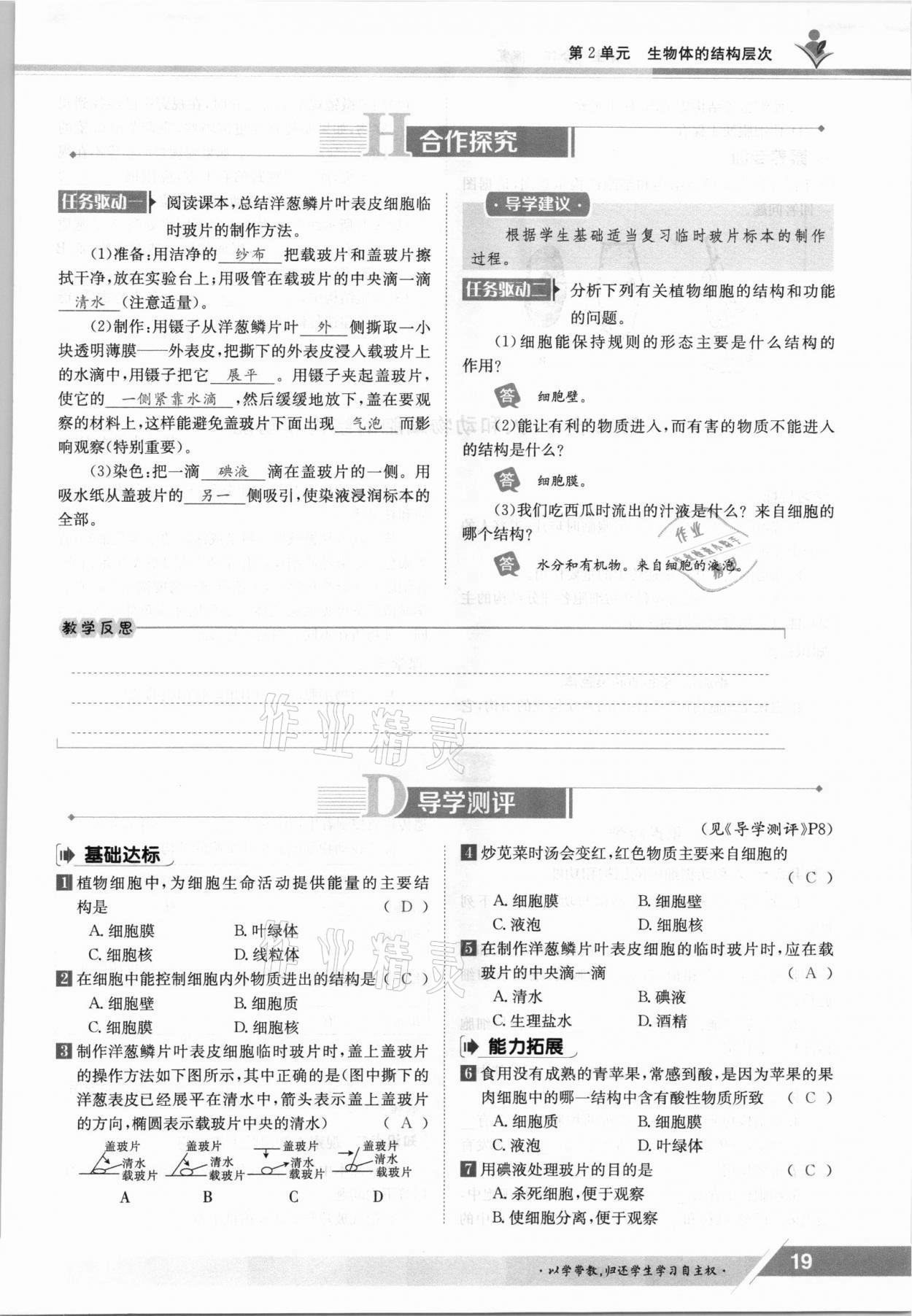 2021年三段六步導學案七年級生物上冊蘇教版 參考答案第19頁