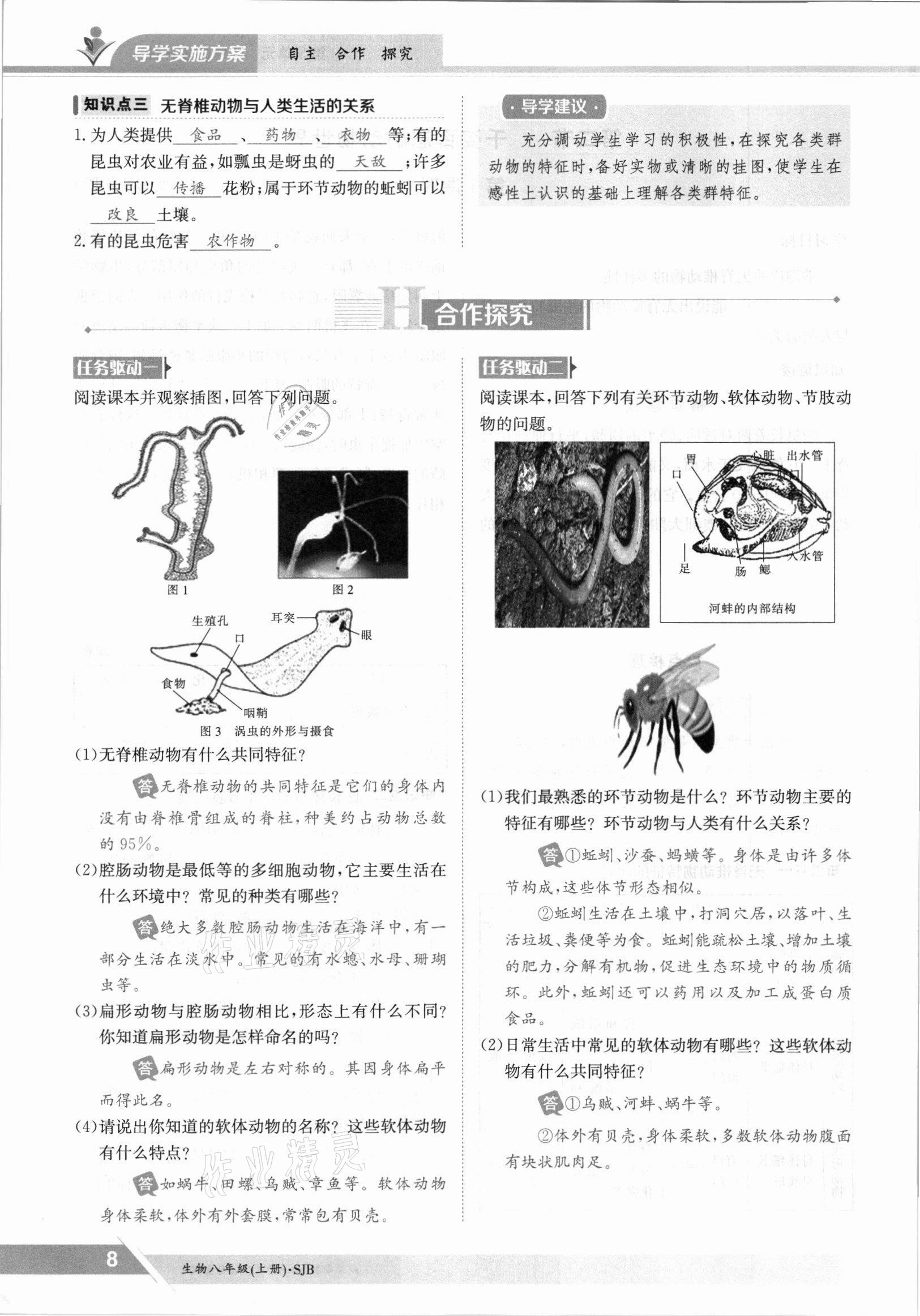 2021年三段六步導學案八年級生物上冊蘇教版 參考答案第8頁