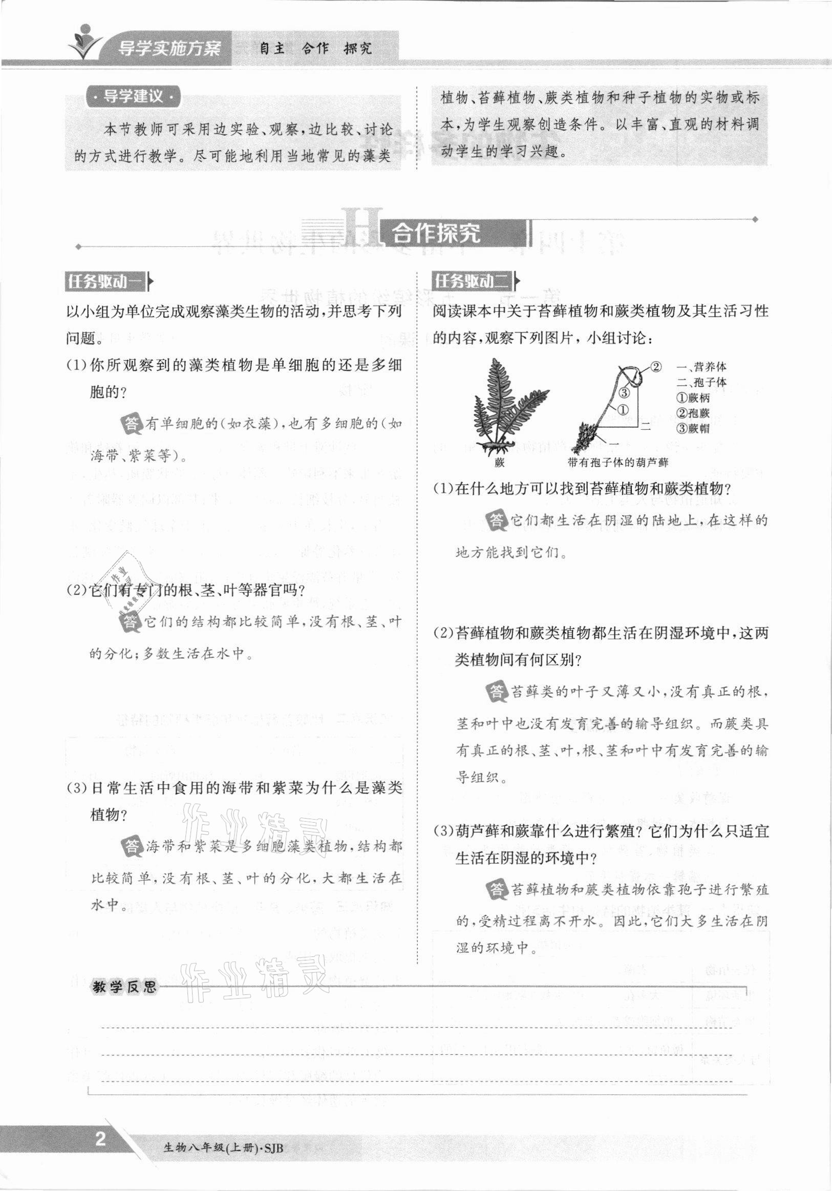 2021年三段六步導(dǎo)學(xué)案八年級生物上冊蘇教版 參考答案第2頁