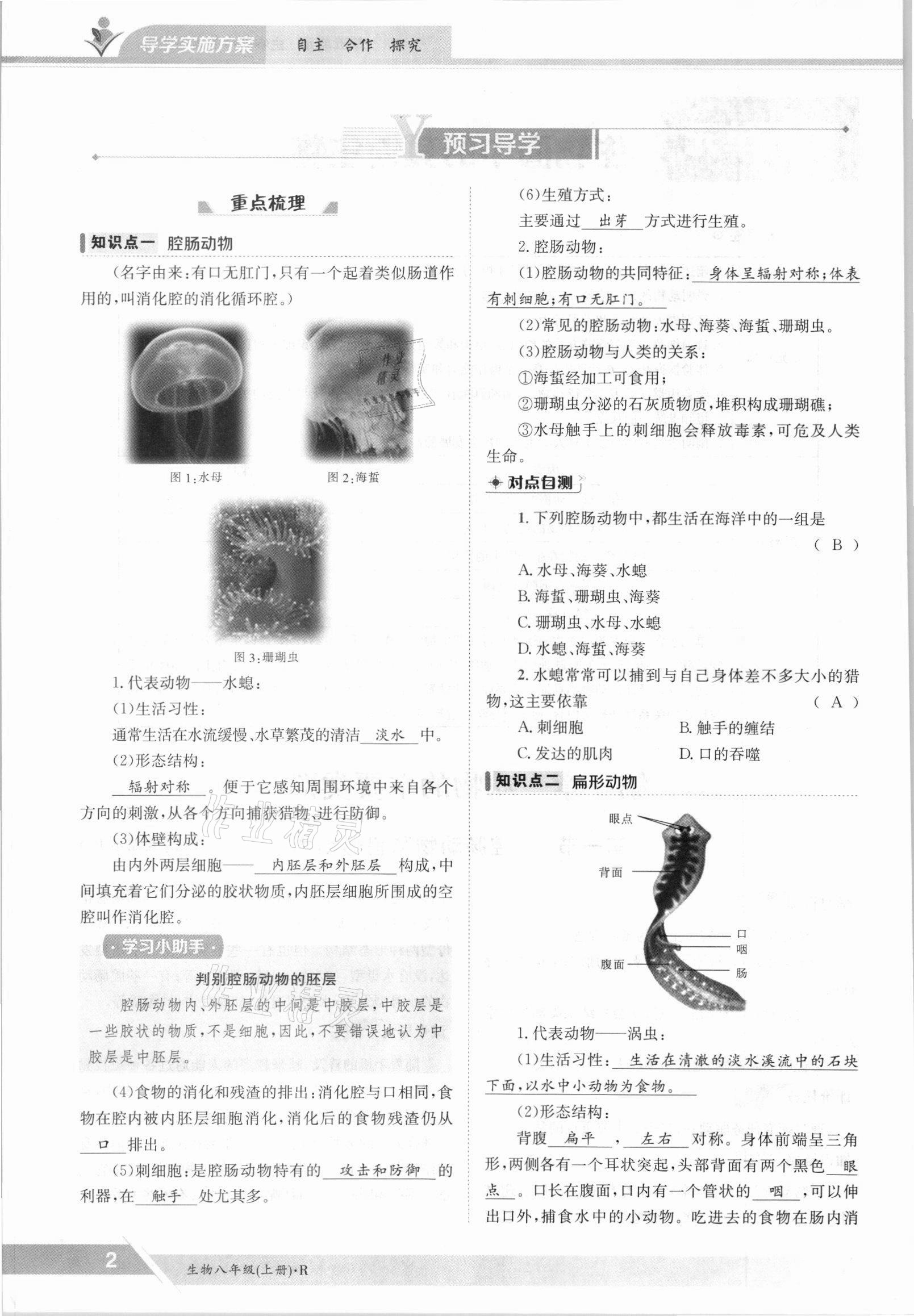 2021年三段六步導(dǎo)學(xué)測評八年級生物上冊人教版 參考答案第2頁