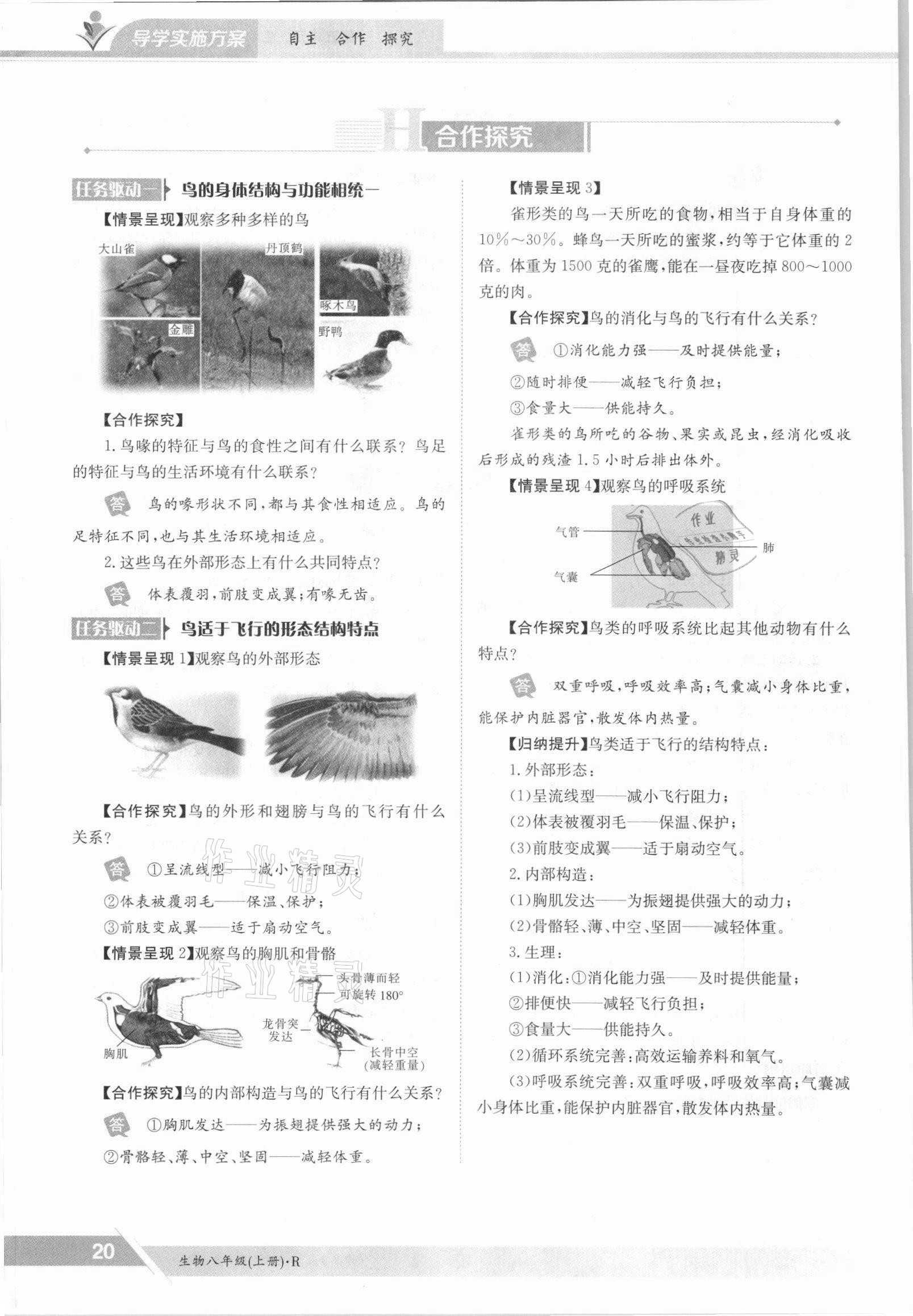 2021年三段六步導(dǎo)學(xué)測評八年級生物上冊人教版 參考答案第20頁