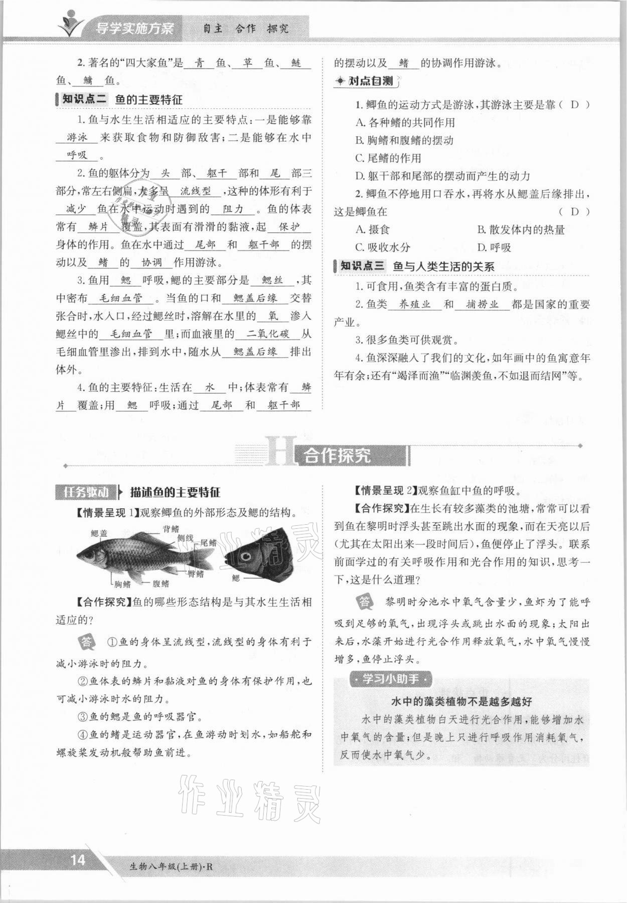 2021年三段六步導(dǎo)學(xué)測評八年級生物上冊人教版 參考答案第14頁