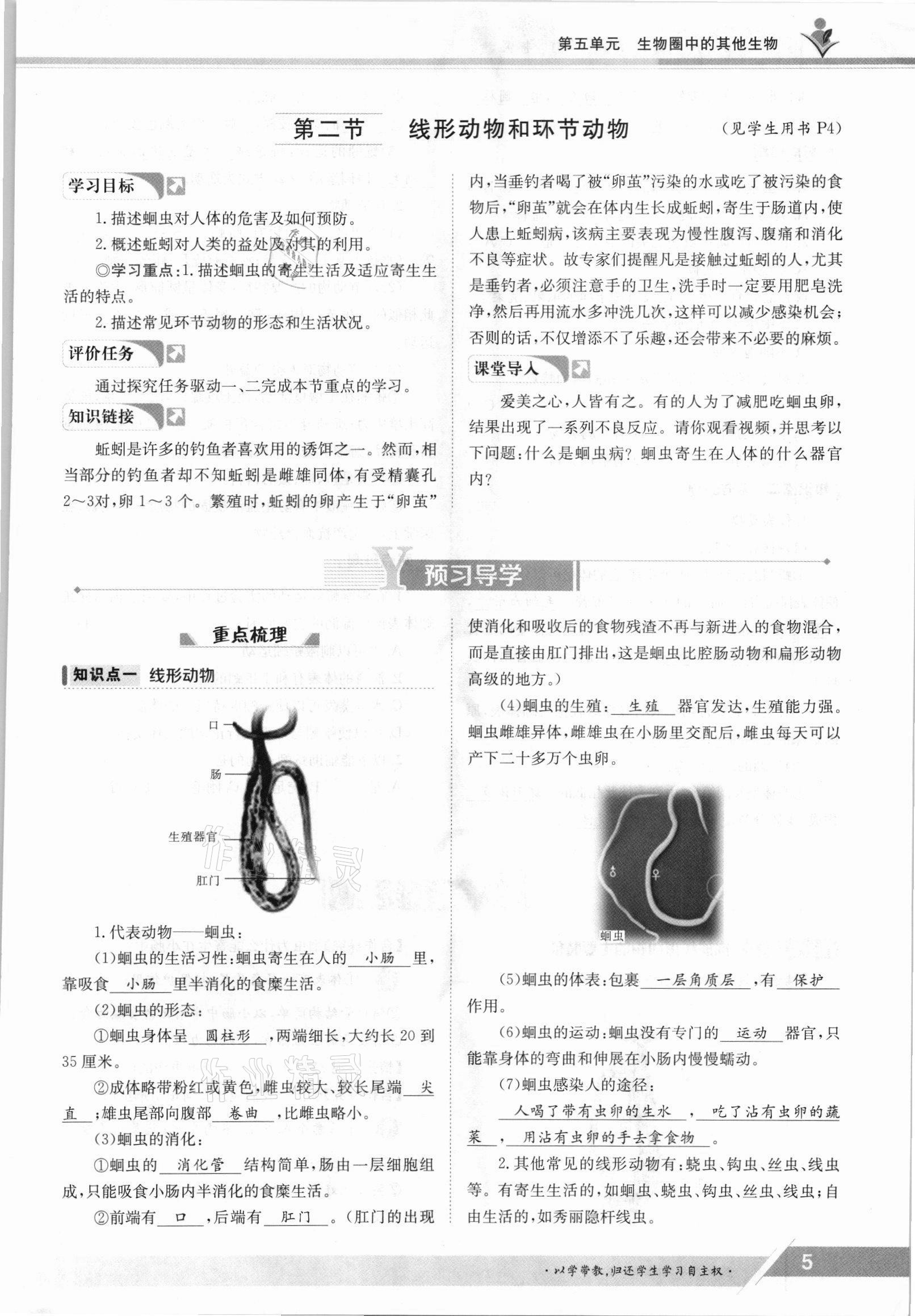 2021年三段六步導學案八年級生物上冊人教版 參考答案第5頁