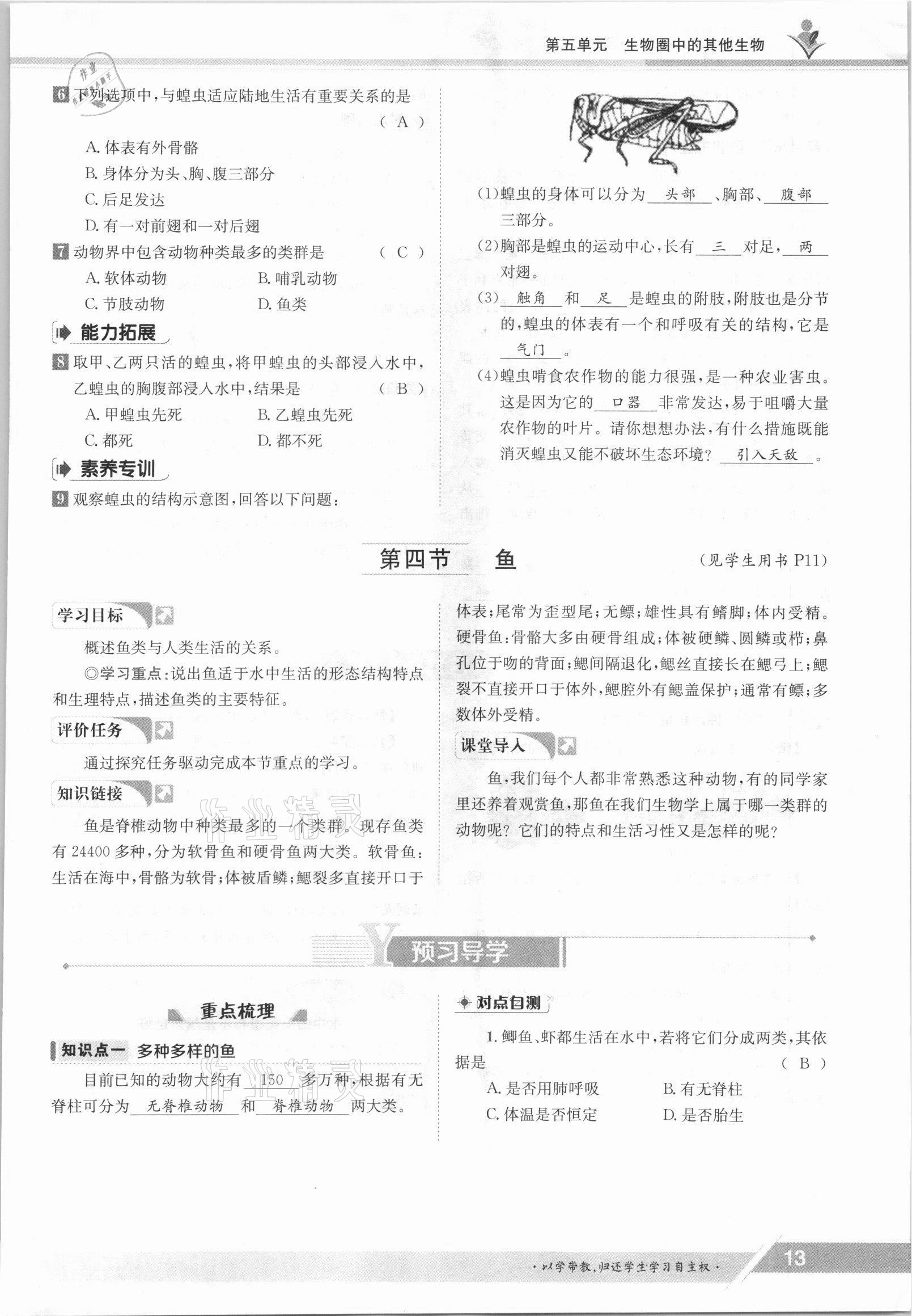 2021年三段六步導(dǎo)學(xué)案八年級生物上冊人教版 參考答案第13頁