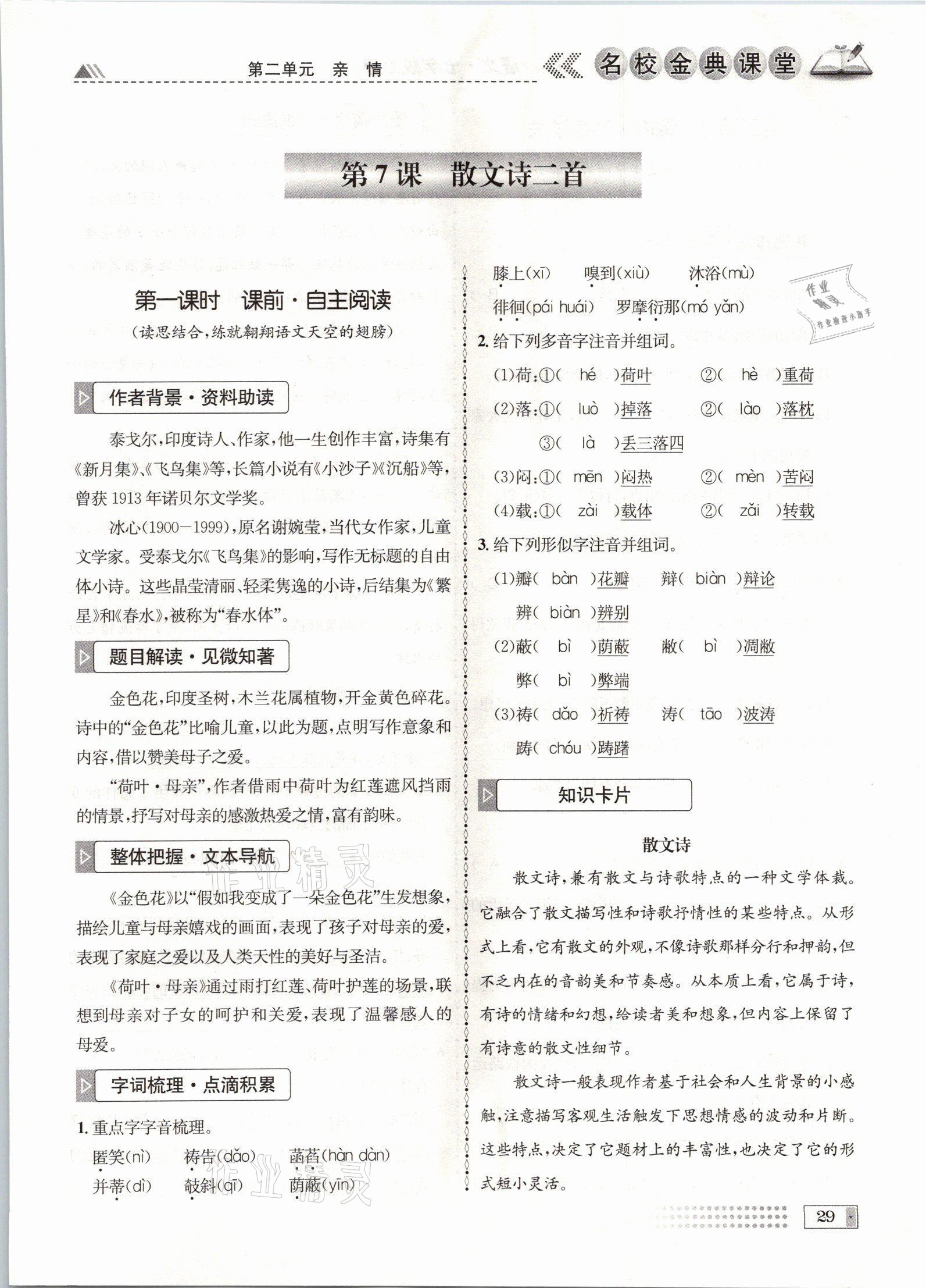 2021年名校金典课堂七年级语文上册人教版成都专版 参考答案第29页