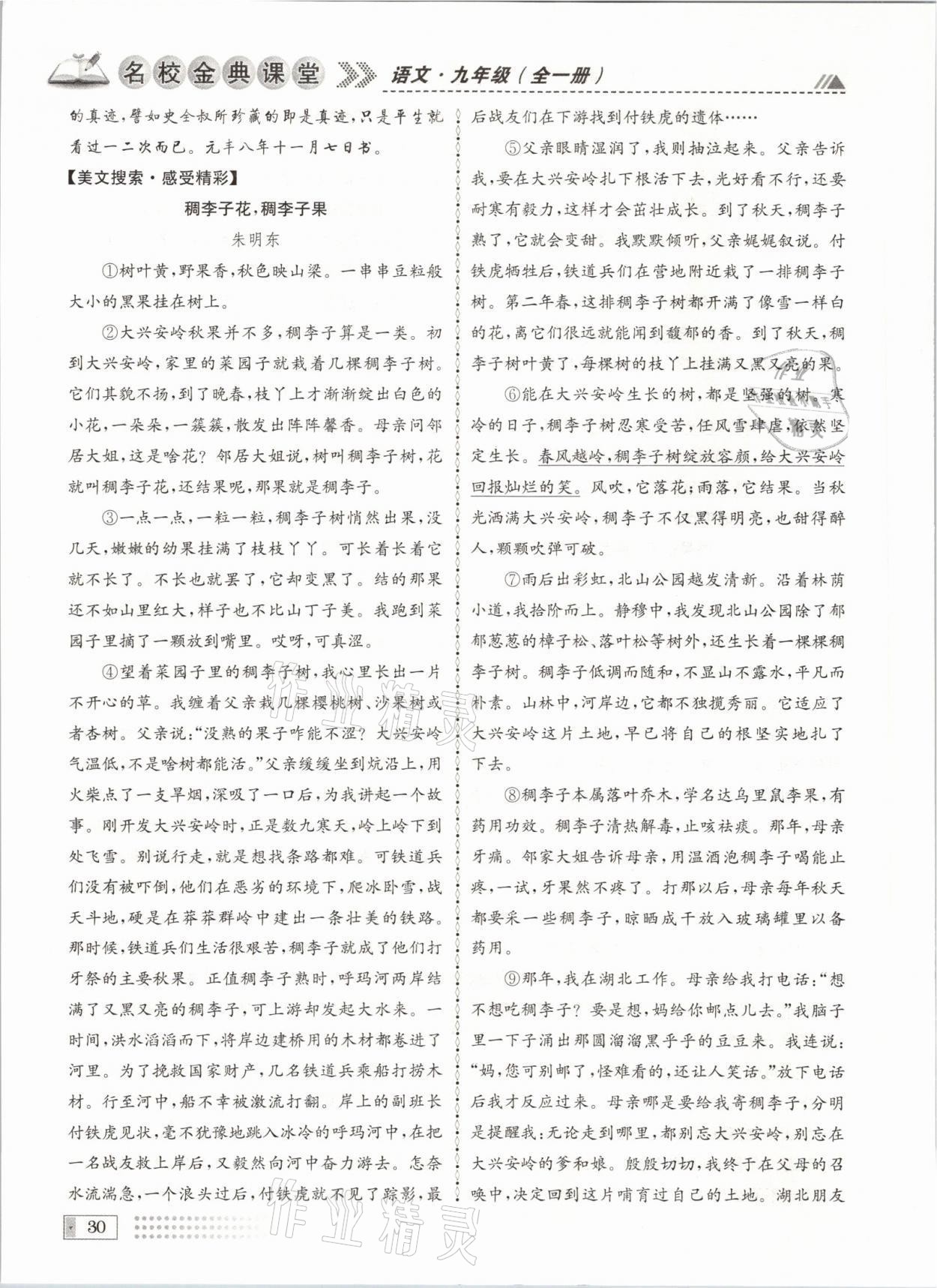 2021年名校金典课堂九年级语文全一册人教版成都专版 参考答案第30页