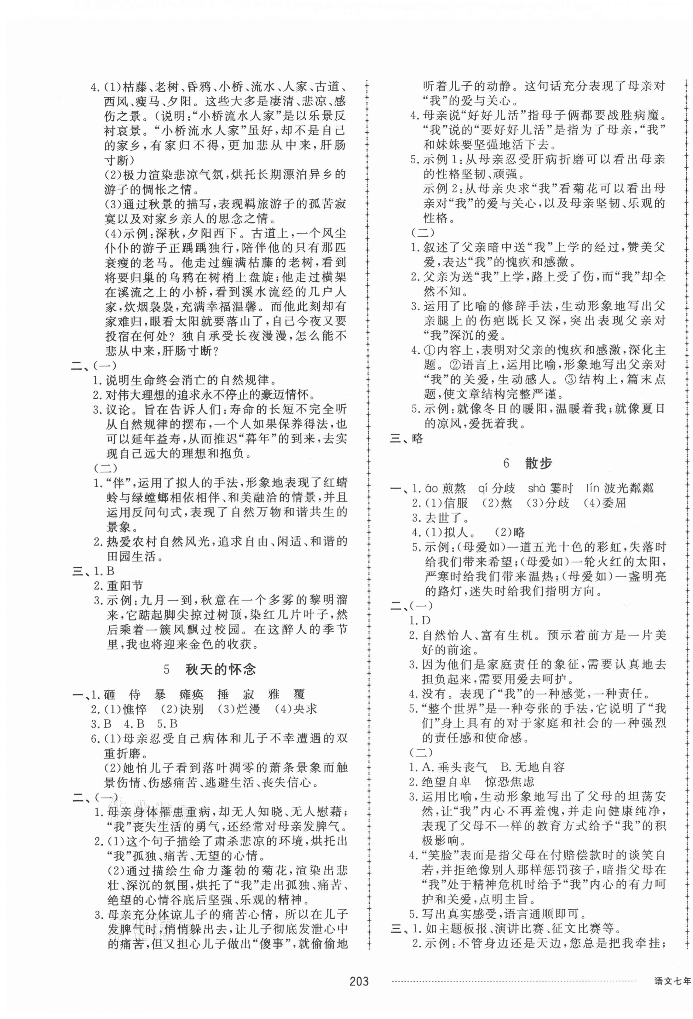 2021年同步练习册配套单元检测卷七年级语文上册人教版 第3页