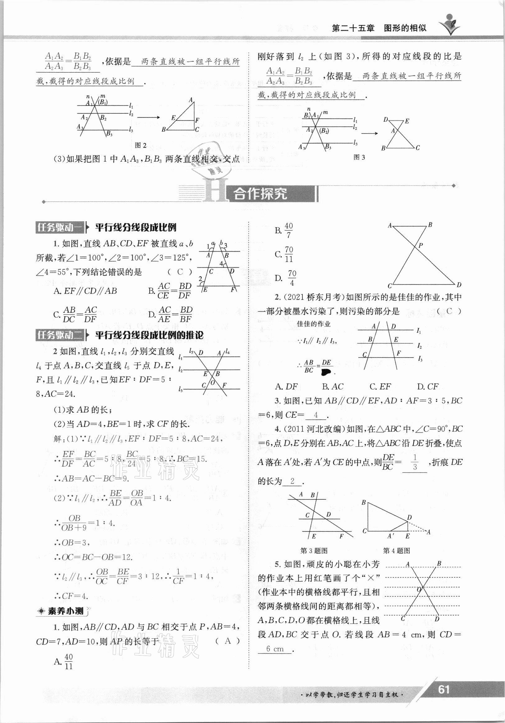 2021年三段六步導學案九年級數學全一冊冀教版 參考答案第61頁