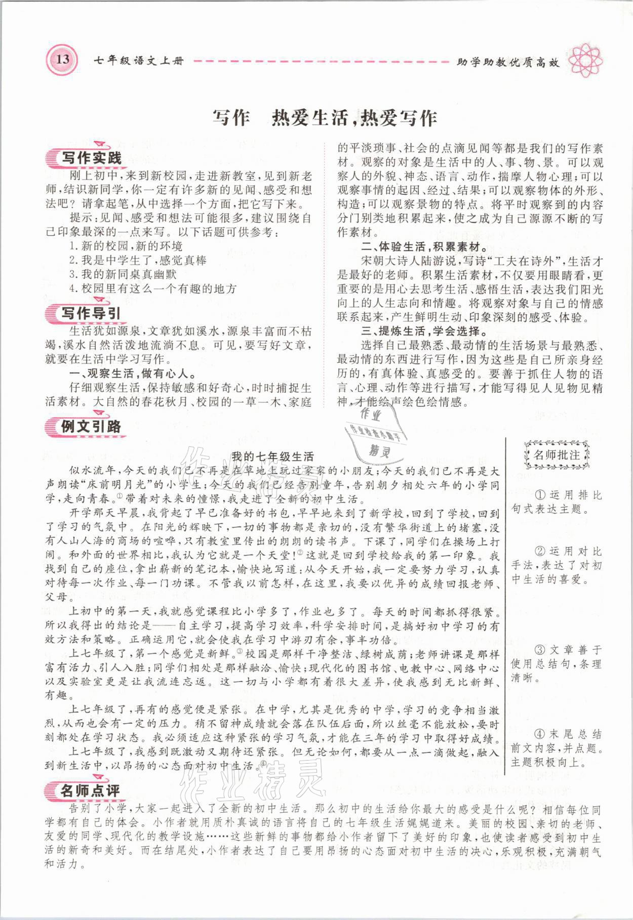 2021年名師學(xué)案七年級(jí)語(yǔ)文上冊(cè)人教版黃岡孝感咸寧專版 第13頁(yè)