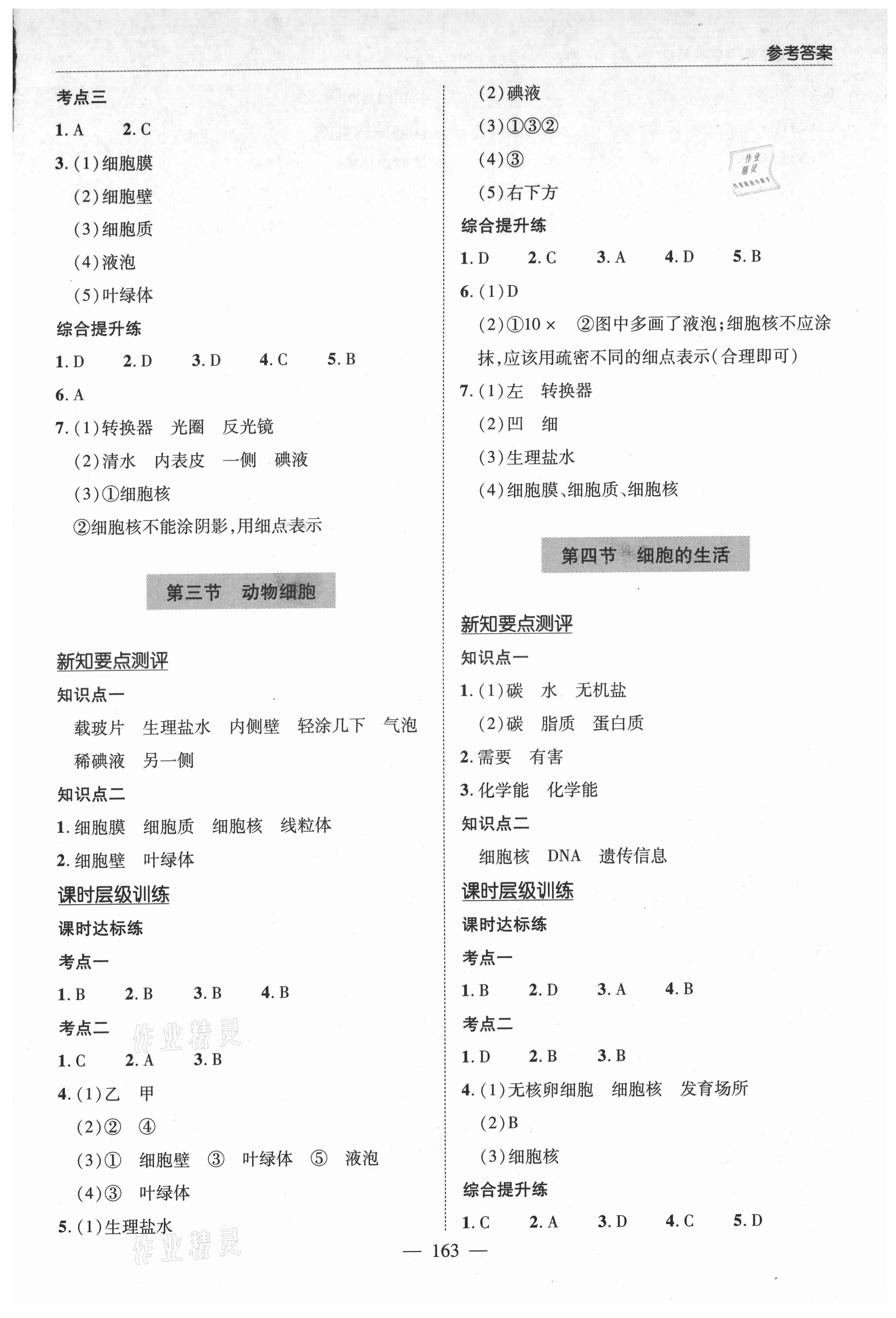 2021年新課堂學(xué)習(xí)與探究七年級生物上冊人教版 第5頁