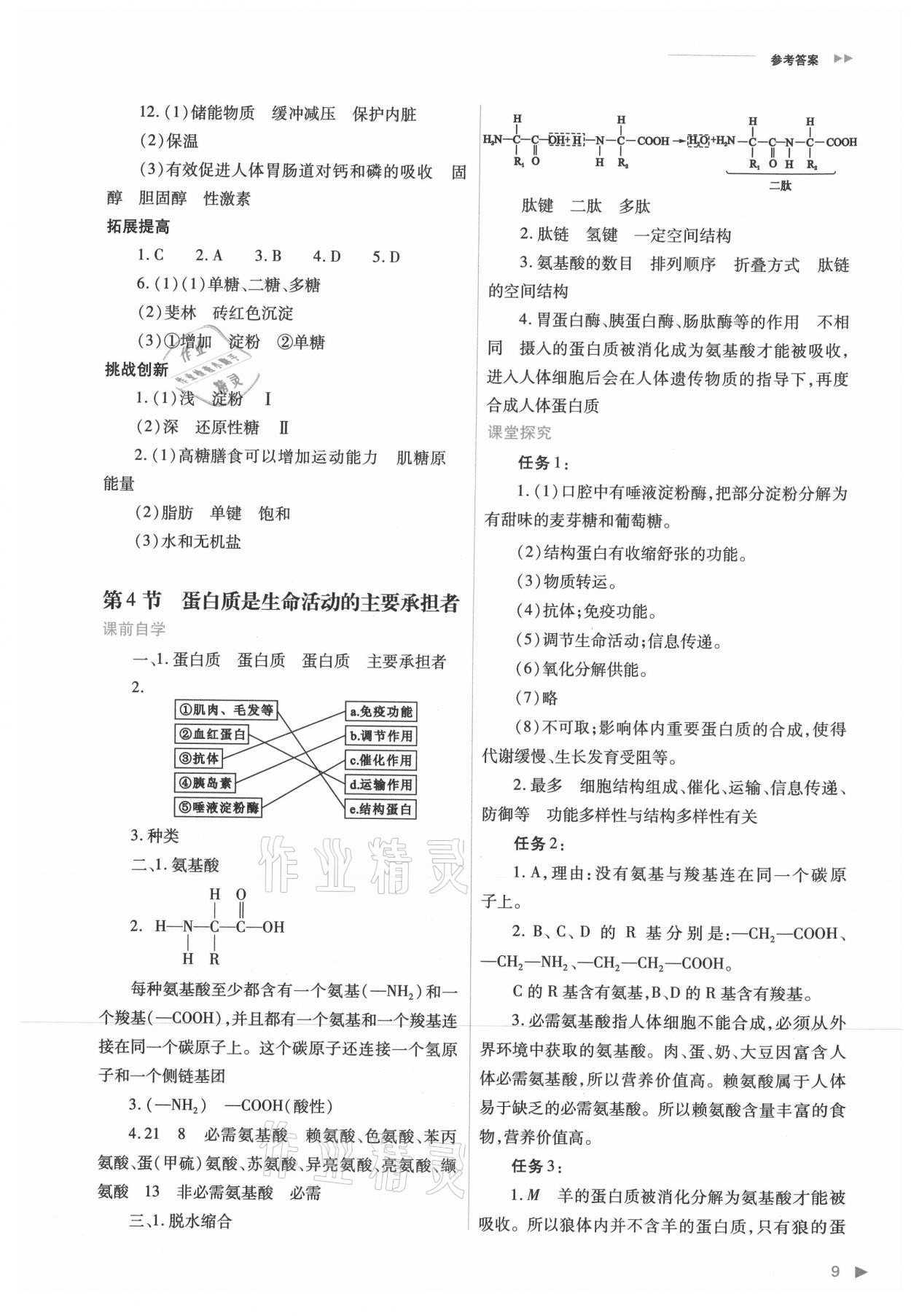 2021年普通高中新課程同步練習(xí)冊高中生物必修1分子與細胞人教版 參考答案第9頁