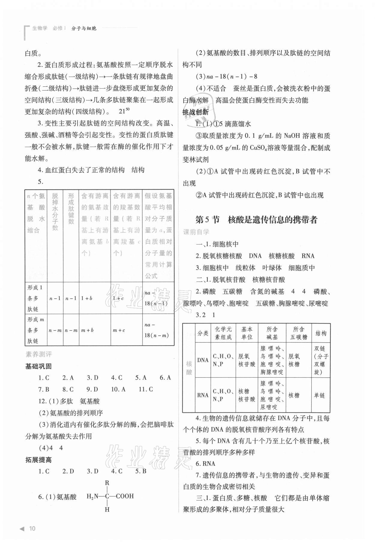 2021年普通高中新課程同步練習(xí)冊(cè)高中生物必修1分子與細(xì)胞人教版 參考答案第10頁