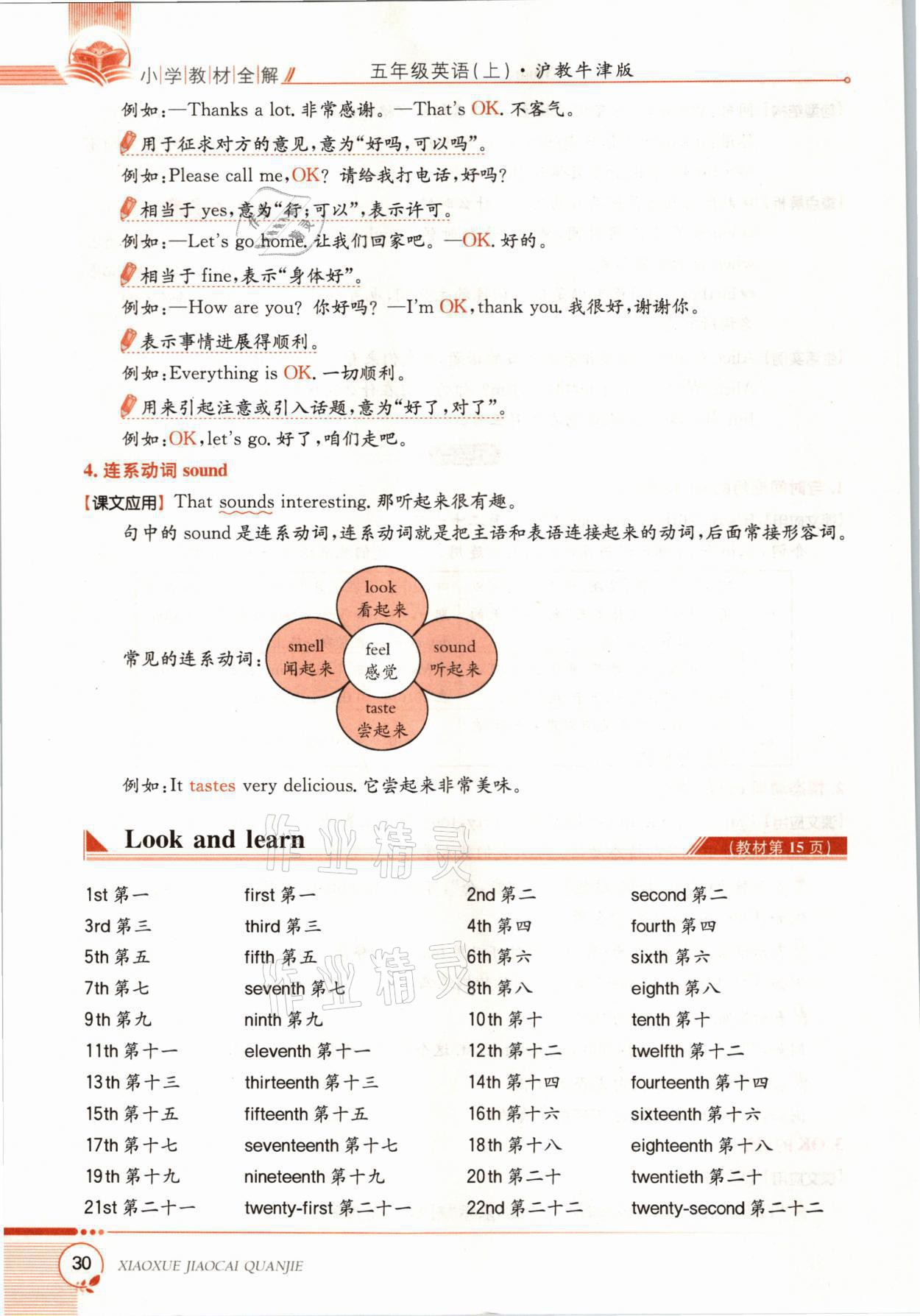 2021年教材課本五年級英語上冊滬教版 參考答案第29頁