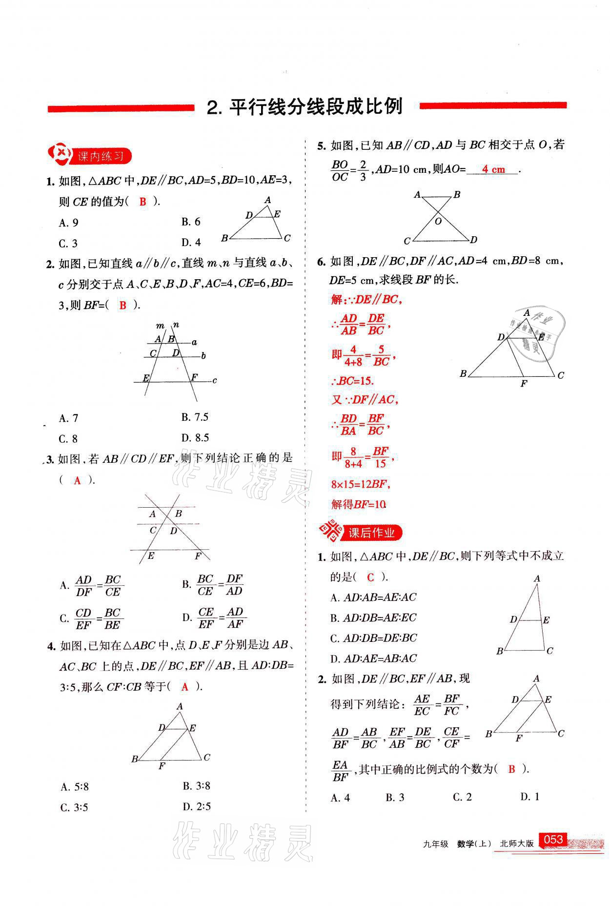 2021年学习之友九年级数学上册北师大版 第53页