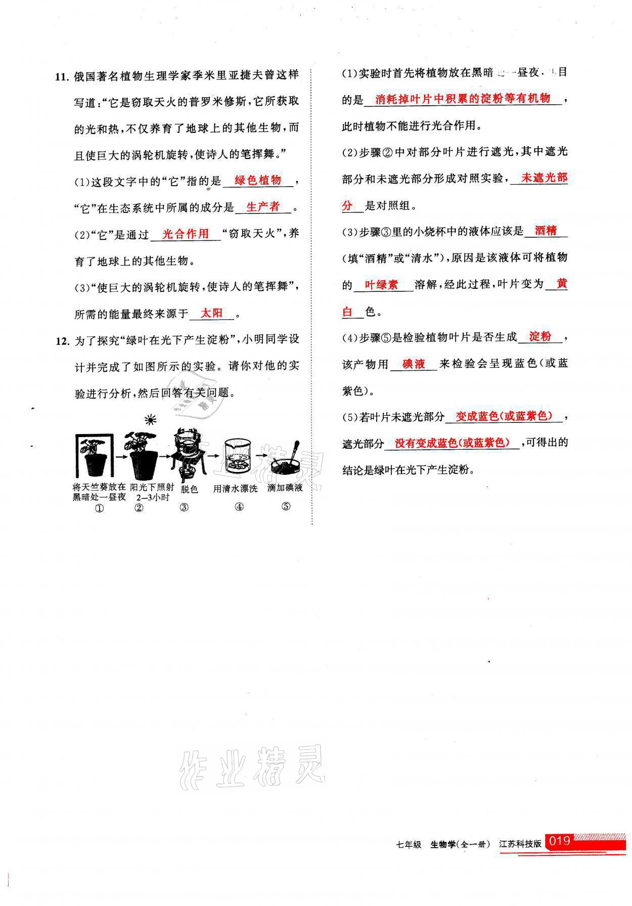 2021年学习之友七年级生物全一册苏科版 参考答案第19页