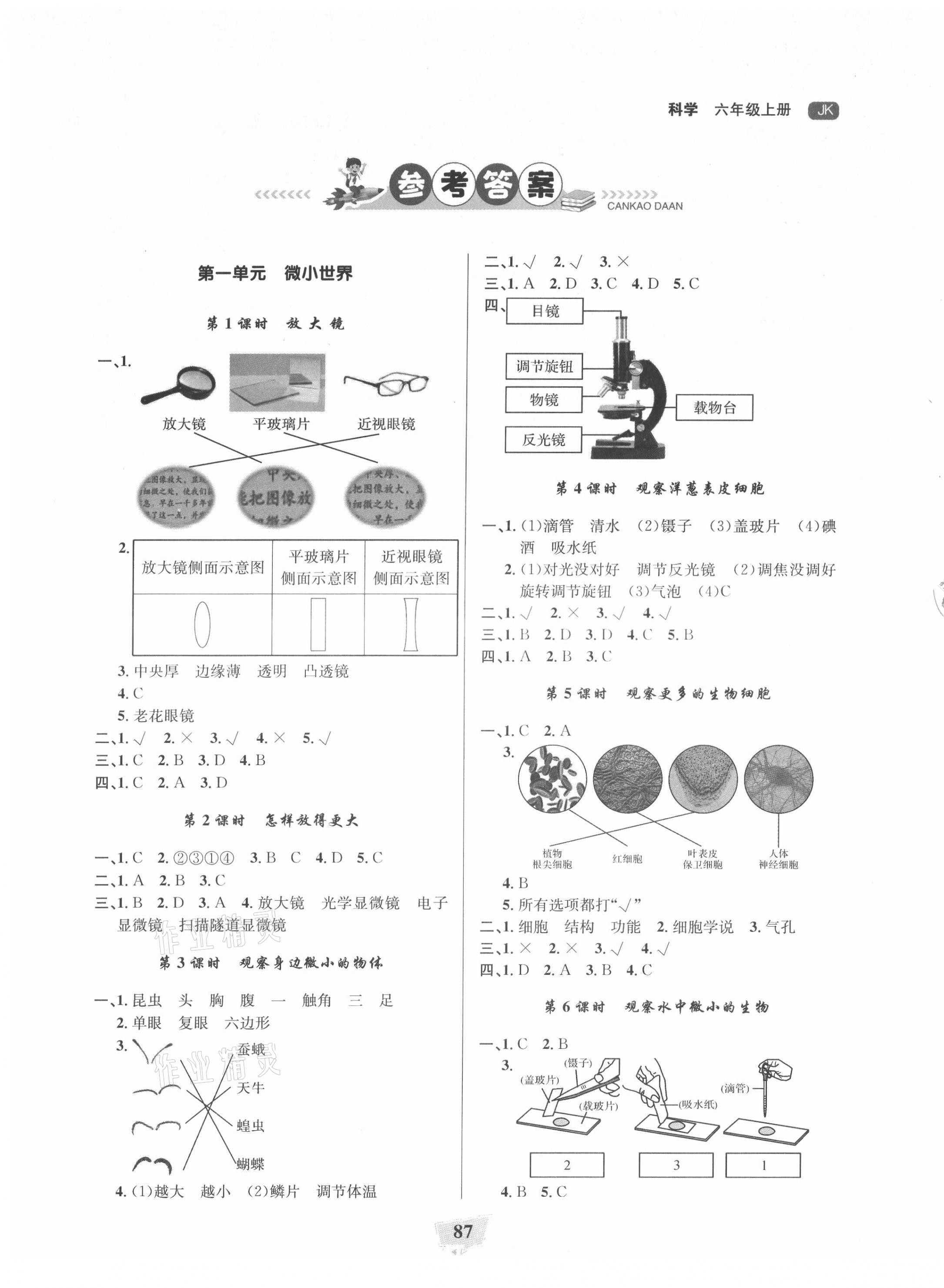 2021年課時(shí)直通車六年級科學(xué)上冊教科版浙江專版 參考答案第1頁