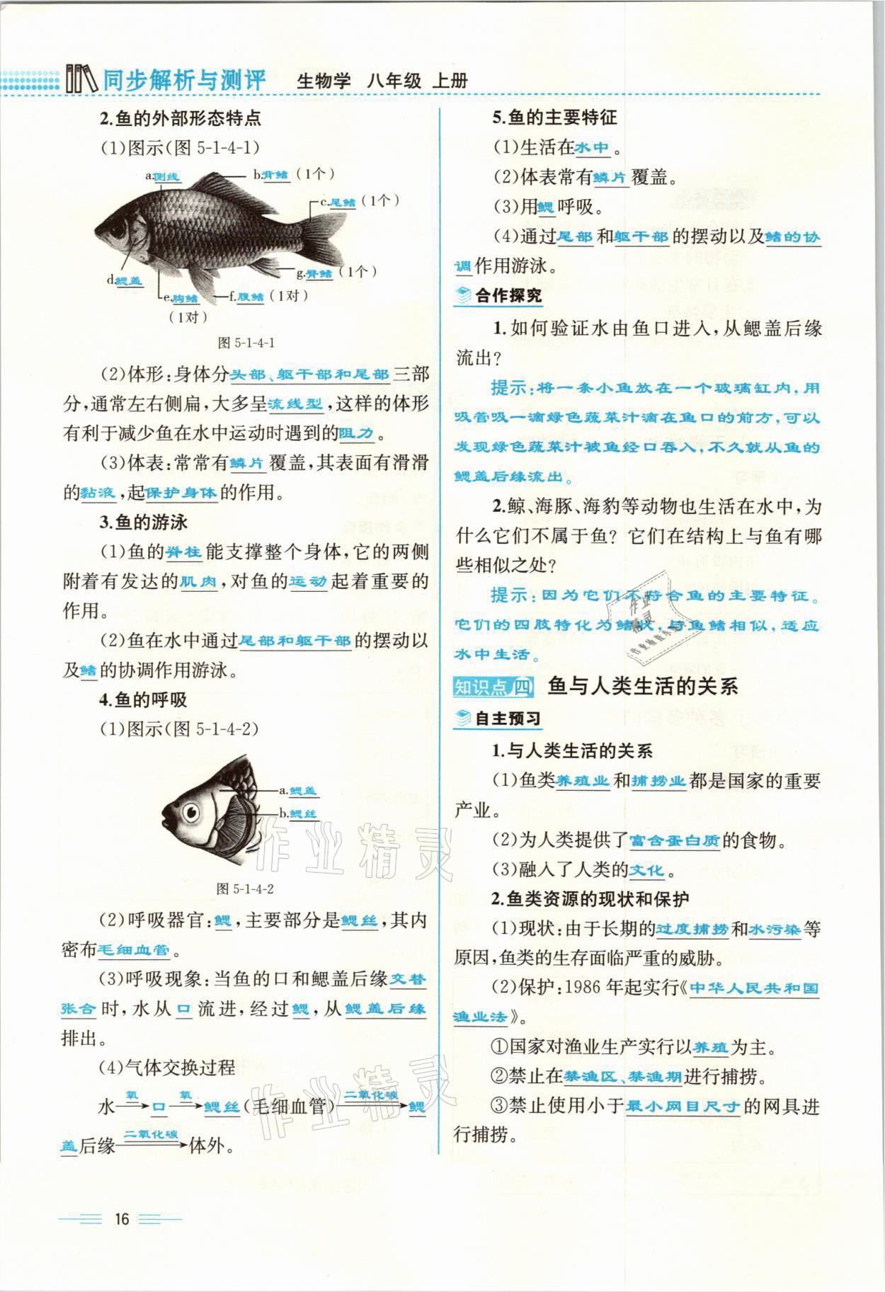 2021年人教金學(xué)典同步解析與測評八年級生物上冊人教版云南專版 參考答案第16頁