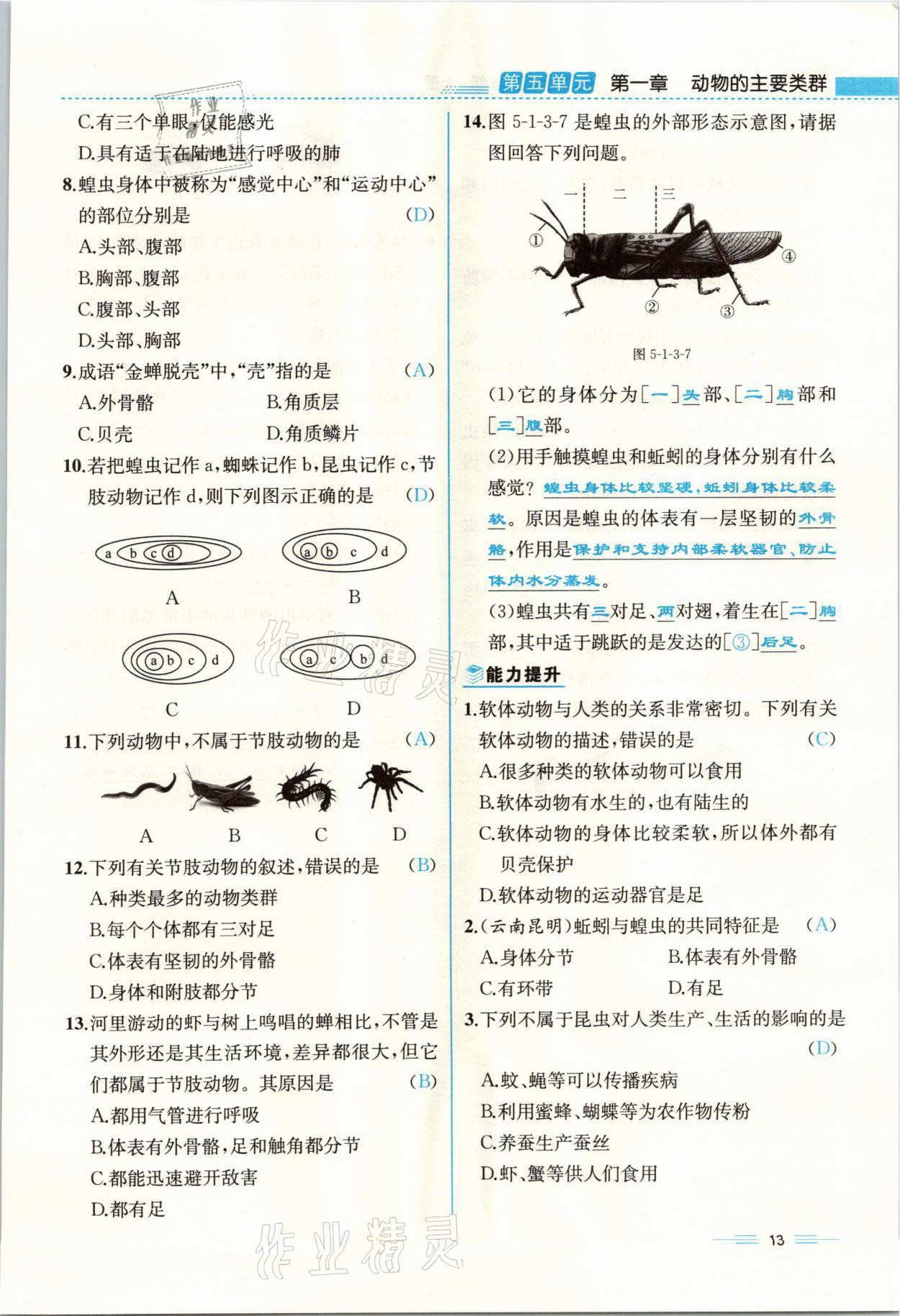 2021年人教金學(xué)典同步解析與測(cè)評(píng)八年級(jí)生物上冊(cè)人教版云南專版 參考答案第13頁