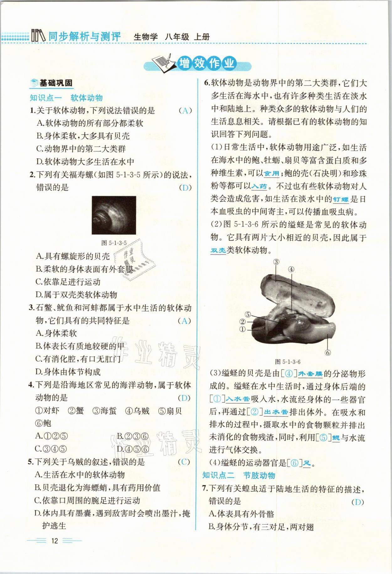 2021年人教金學(xué)典同步解析與測(cè)評(píng)八年級(jí)生物上冊(cè)人教版云南專(zhuān)版 參考答案第12頁(yè)