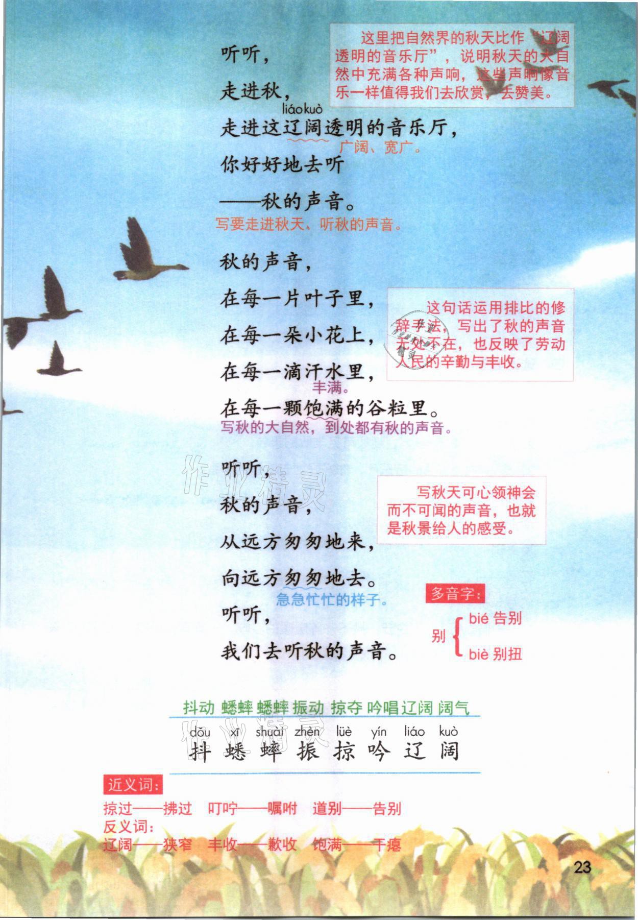 2021年教材課本三年級語文上冊人教版 參考答案第23頁