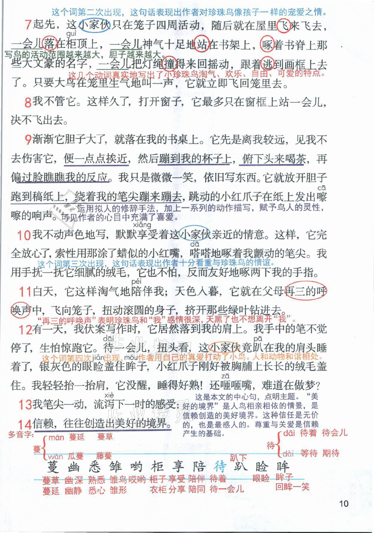 2021年教材課本五年級語文上冊人教版 參考答案第10頁