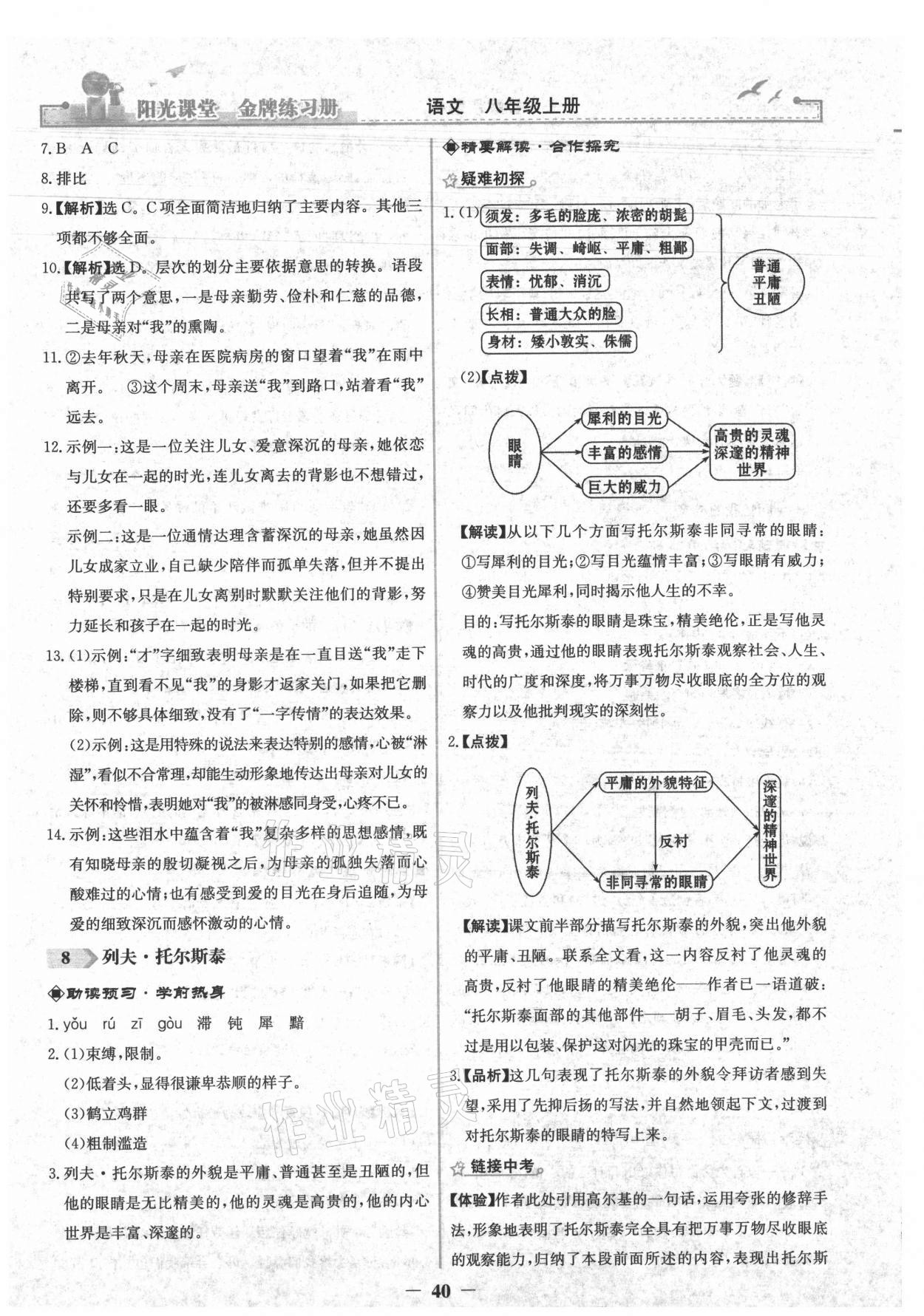 2021年陽光課堂金牌練習(xí)冊(cè)八年級(jí)語文上冊(cè)人教版 第8頁