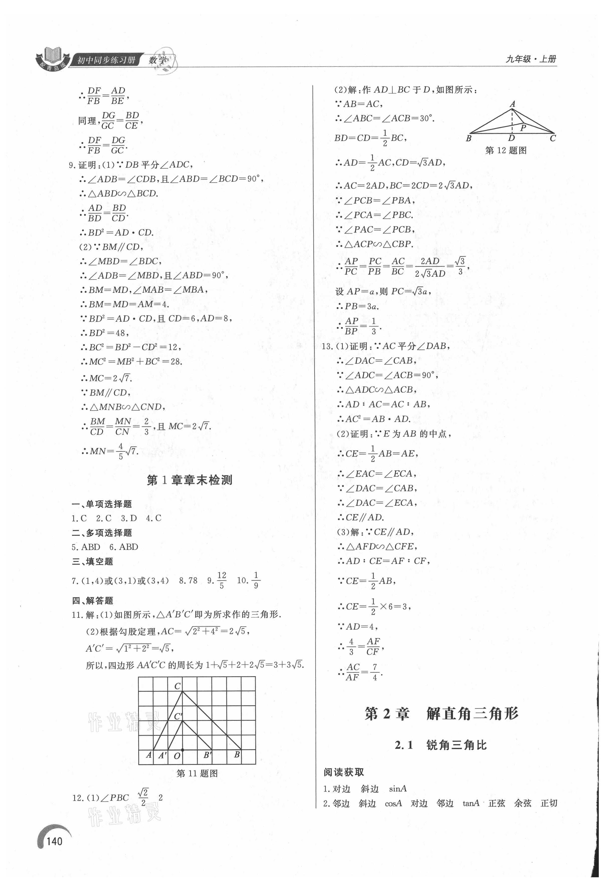 2021年同步练习册泰山出版社九年级数学上册青岛版 第6页