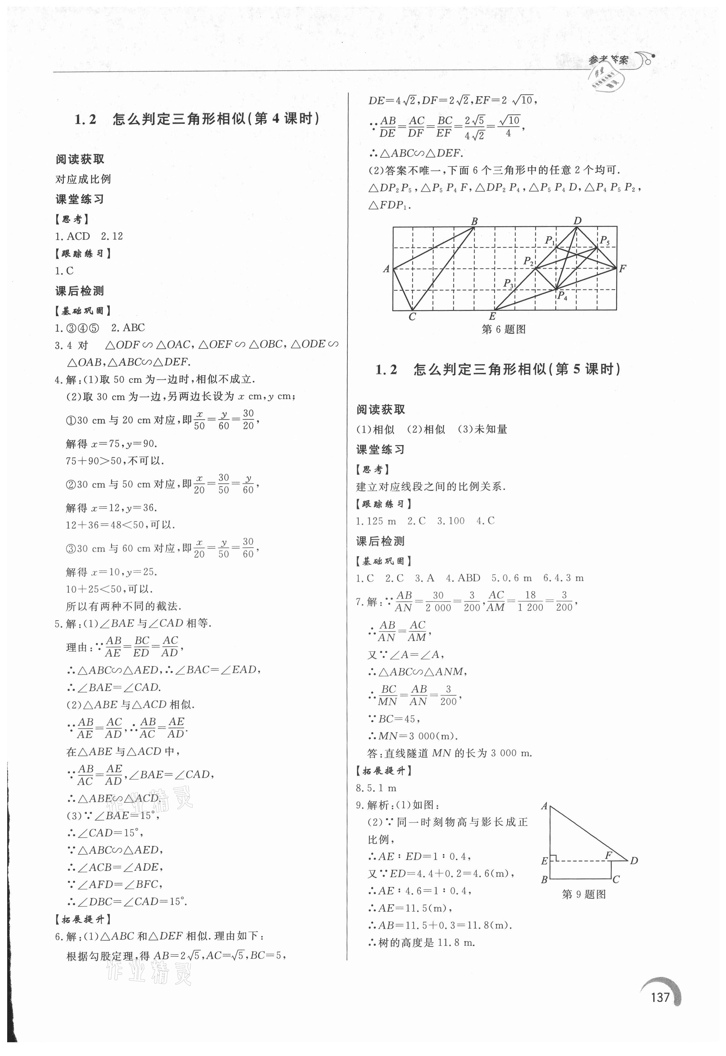 2021年同步練習(xí)冊(cè)泰山出版社九年級(jí)數(shù)學(xué)上冊(cè)青島版 第3頁(yè)