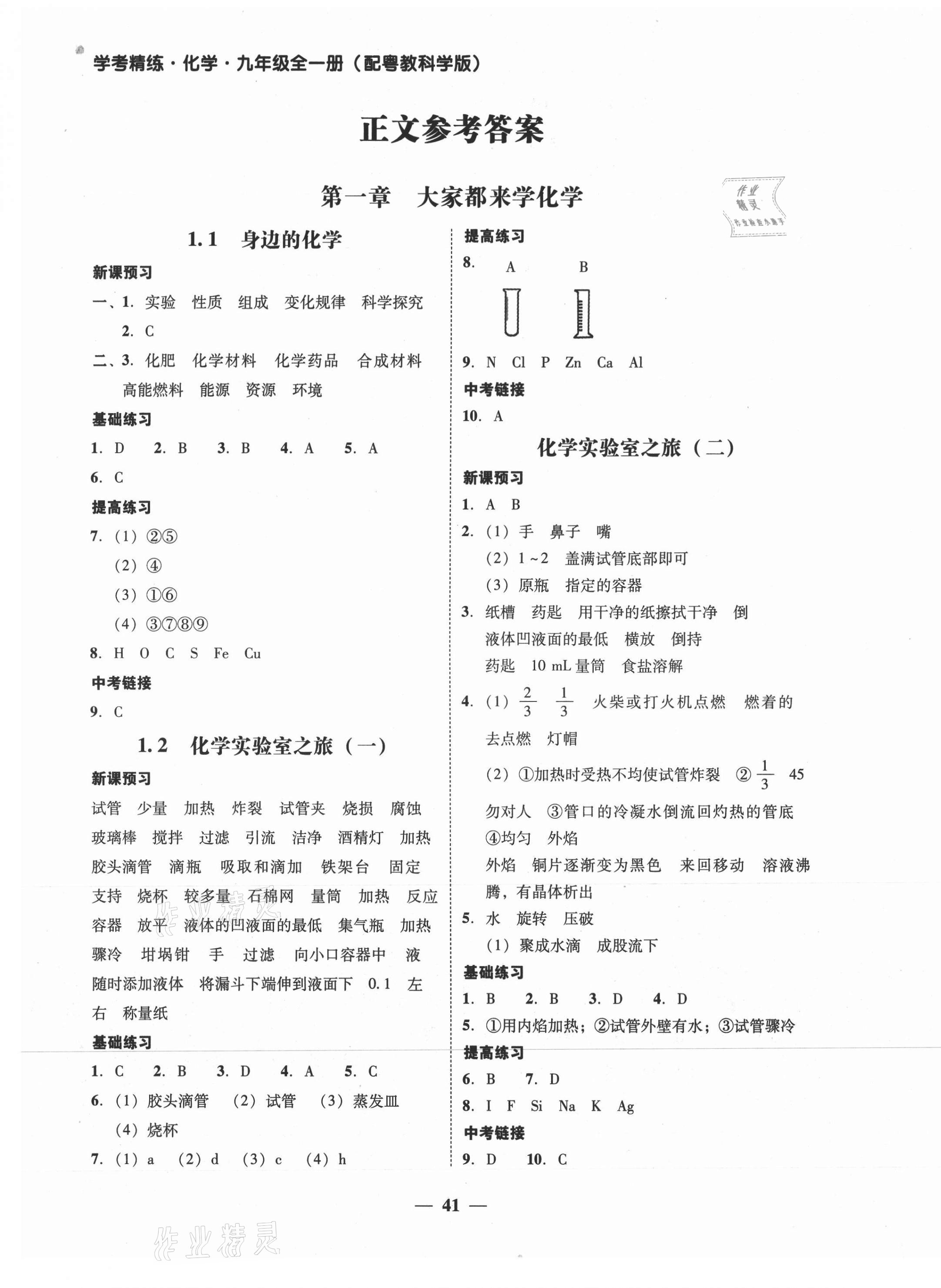 2021年南粤学典学考精练九年级化学全一册粤教版 第5页