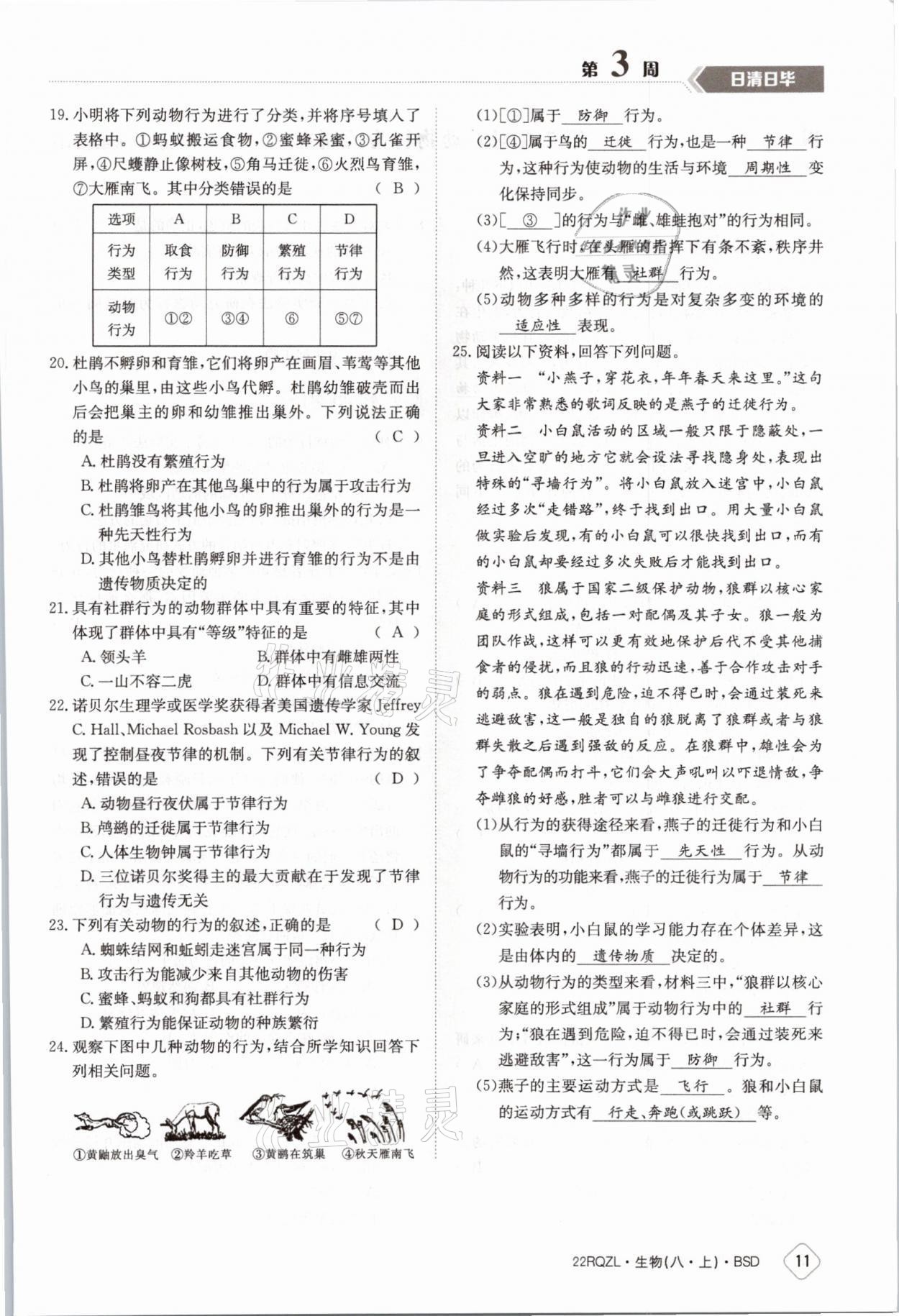 2021年日清周練八年級(jí)生物上冊(cè)北師大版 參考答案第19頁(yè)