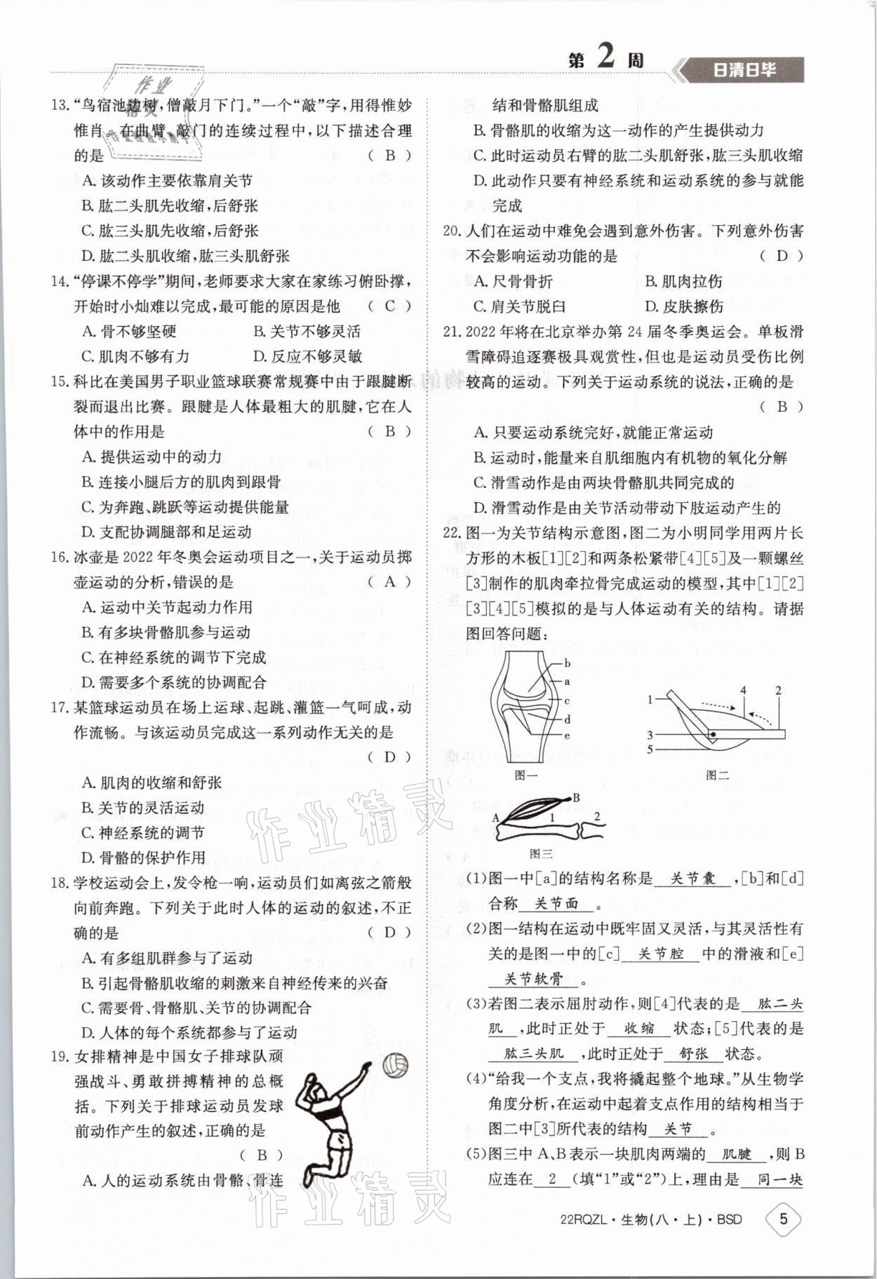 2021年日清周練八年級生物上冊北師大版 參考答案第7頁