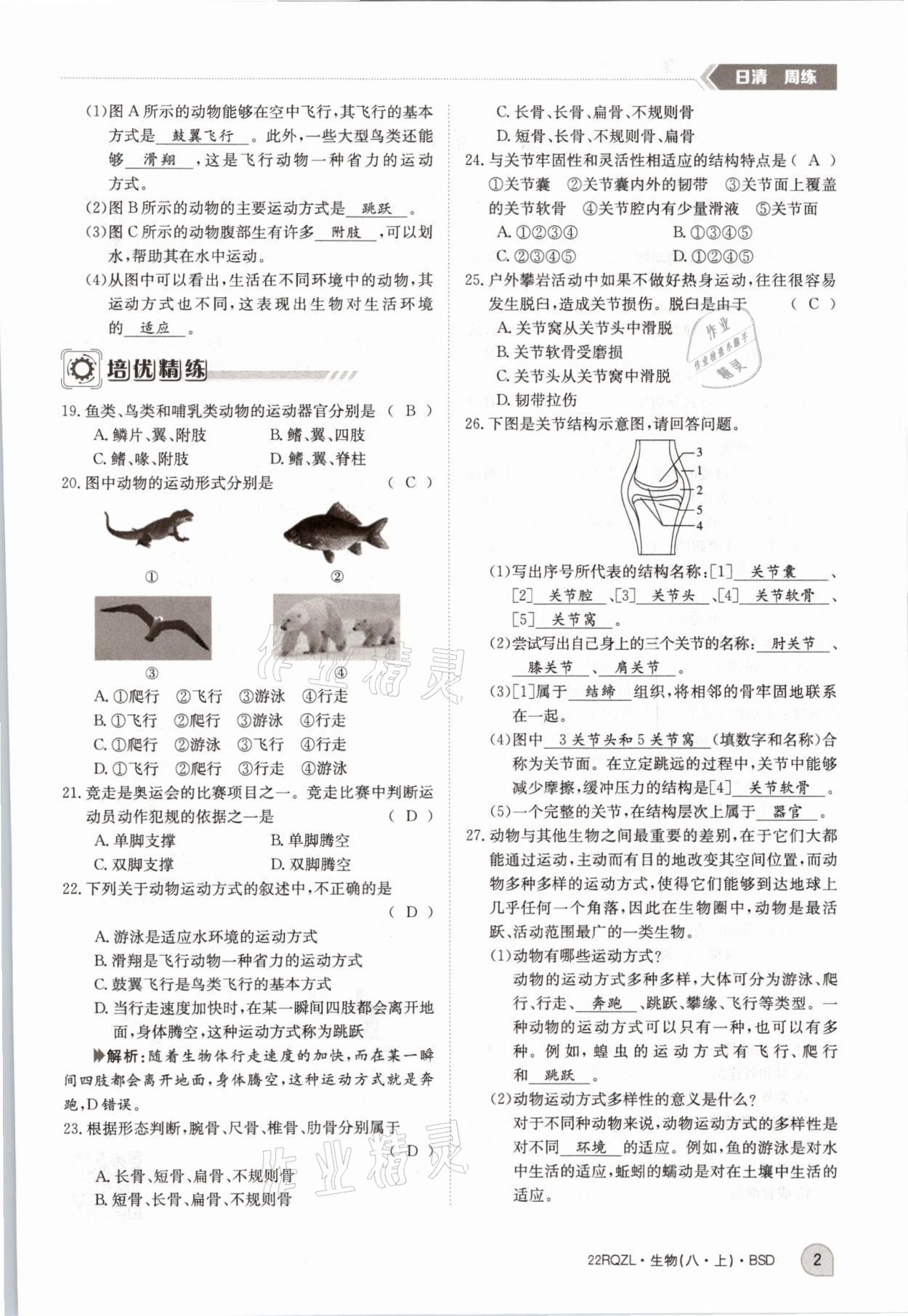 2021年日清周練八年級(jí)生物上冊(cè)北師大版 參考答案第6頁(yè)