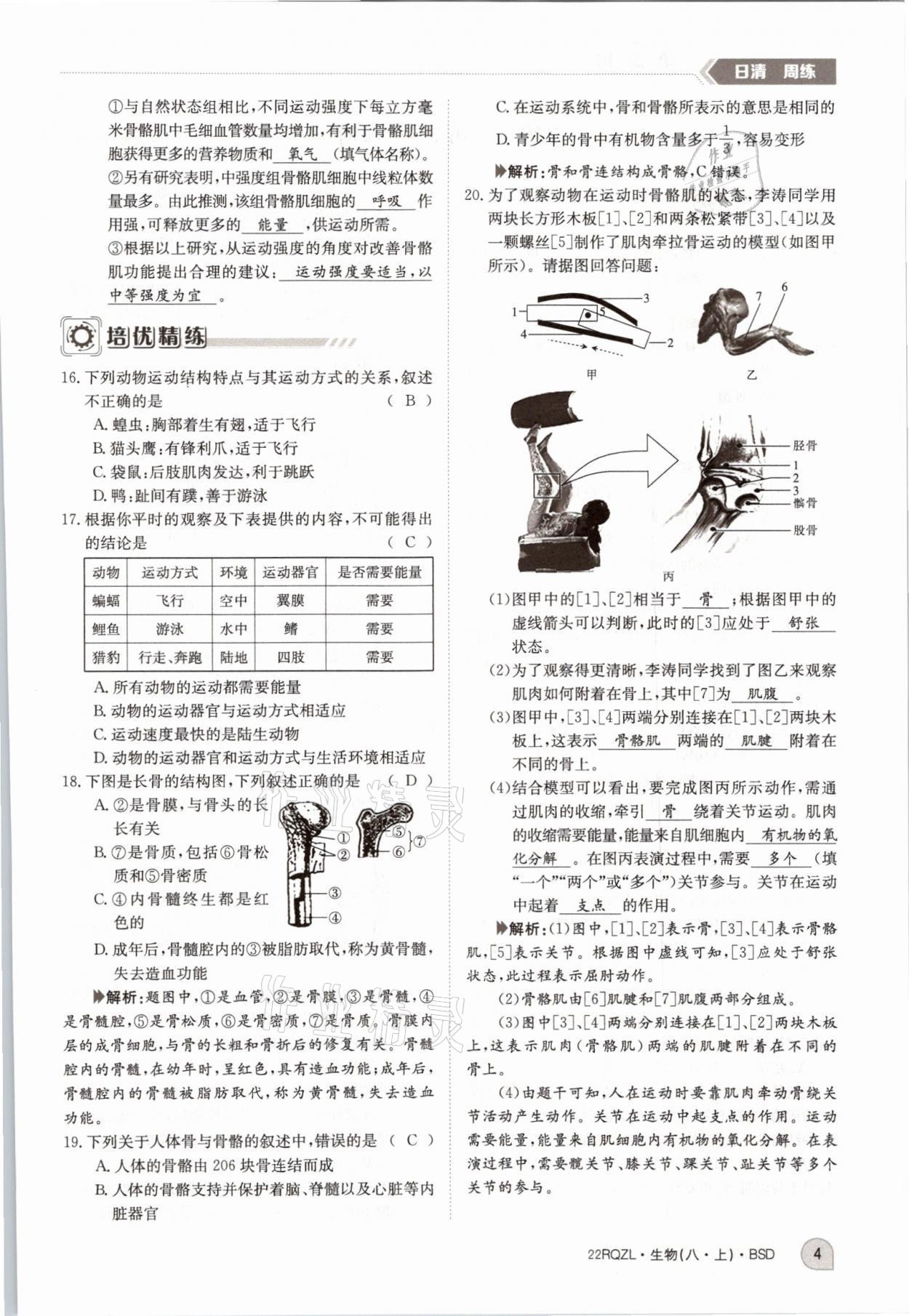 2021年日清周練八年級生物上冊北師大版 參考答案第10頁