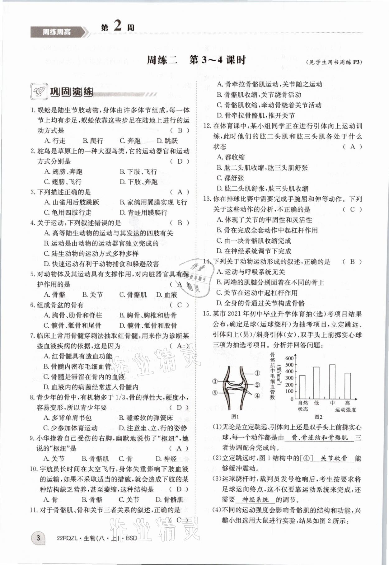 2021年日清周練八年級(jí)生物上冊(cè)北師大版 參考答案第8頁