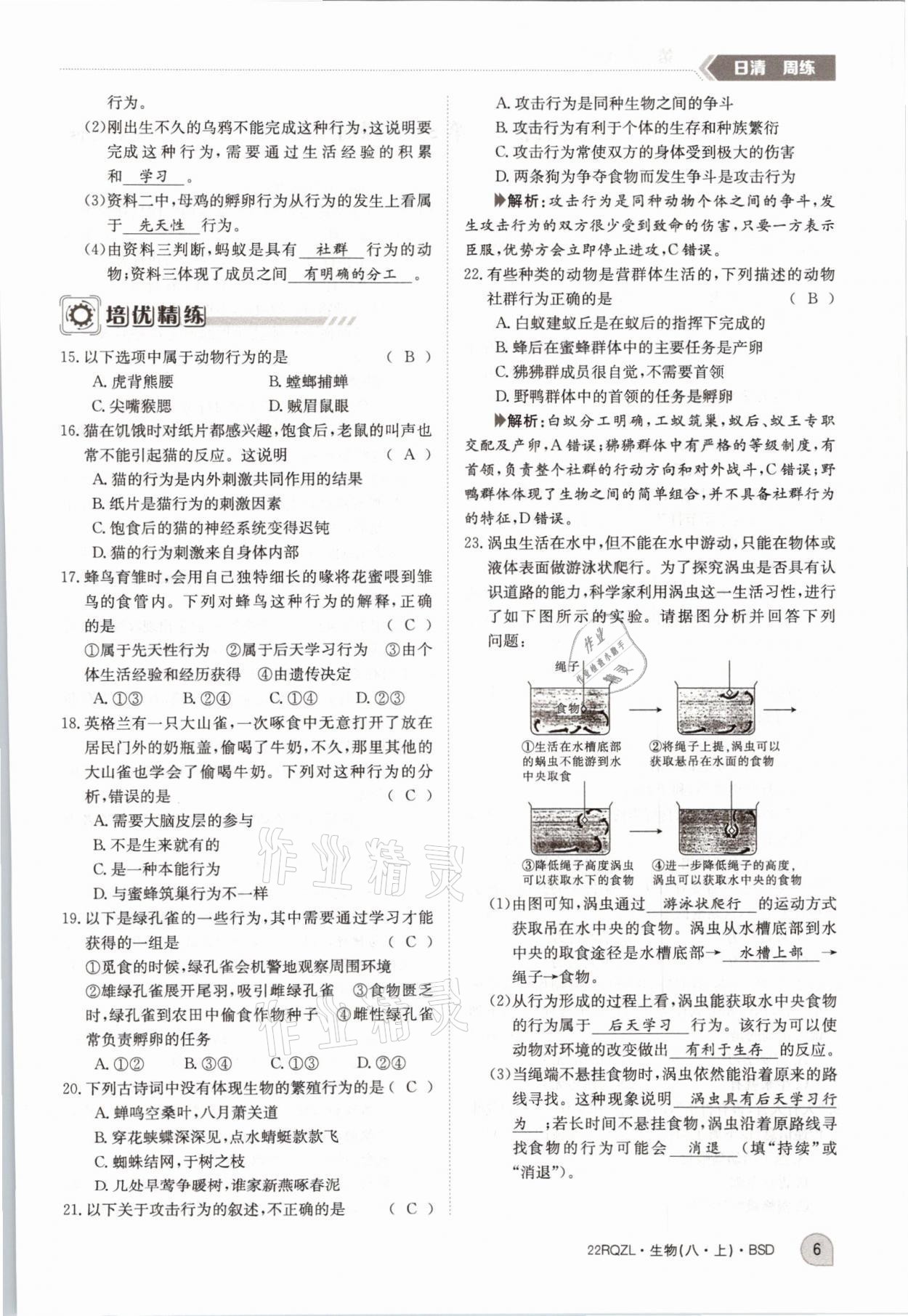 2021年日清周練八年級生物上冊北師大版 參考答案第14頁