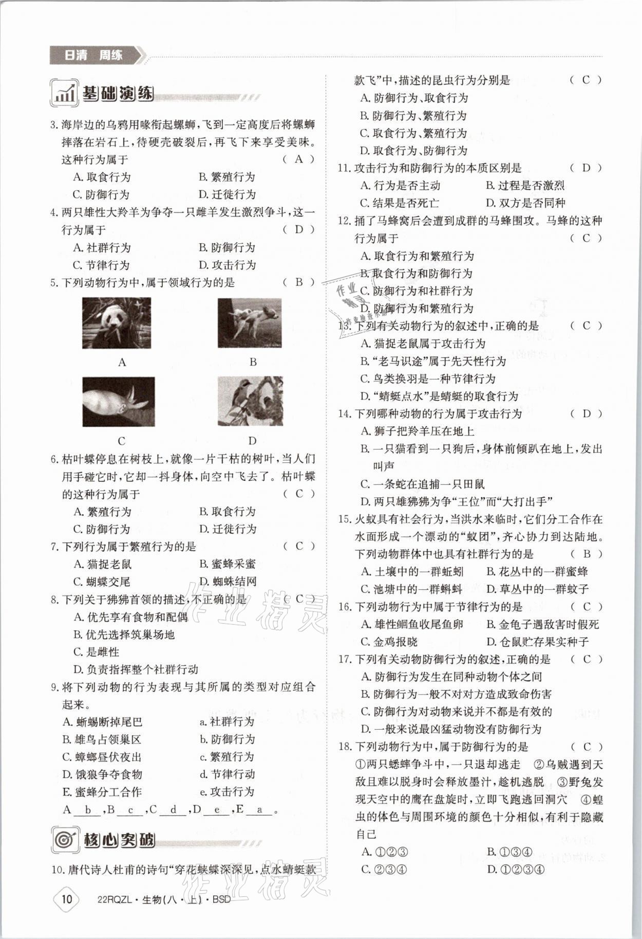 2021年日清周練八年級生物上冊北師大版 參考答案第17頁